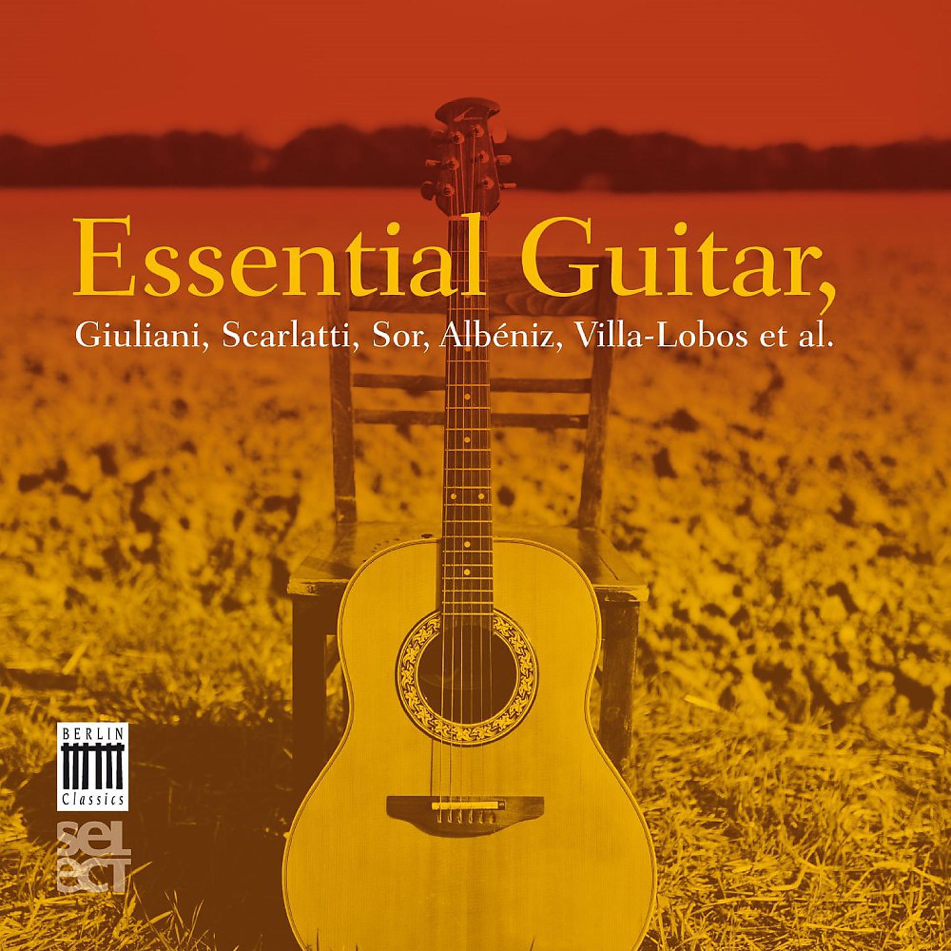 Постер альбома Essential Guitar