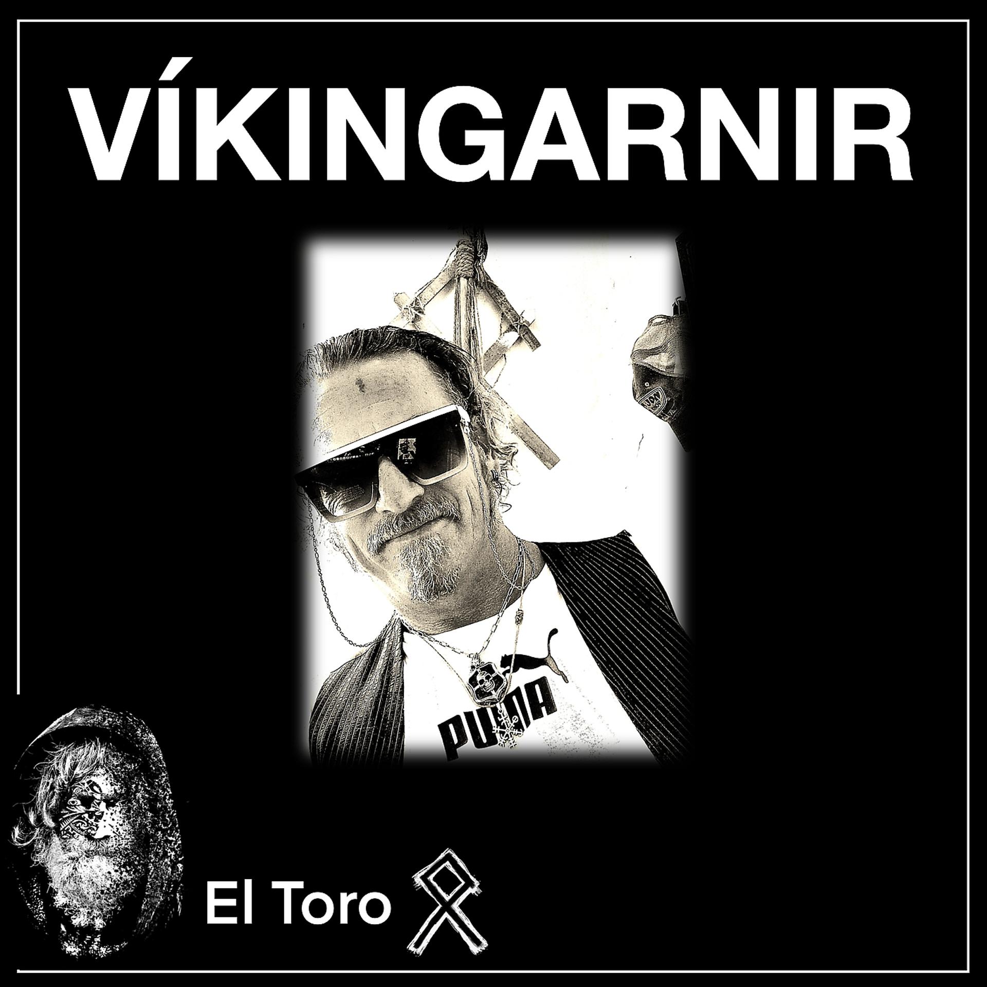 Постер альбома Vikingarnir