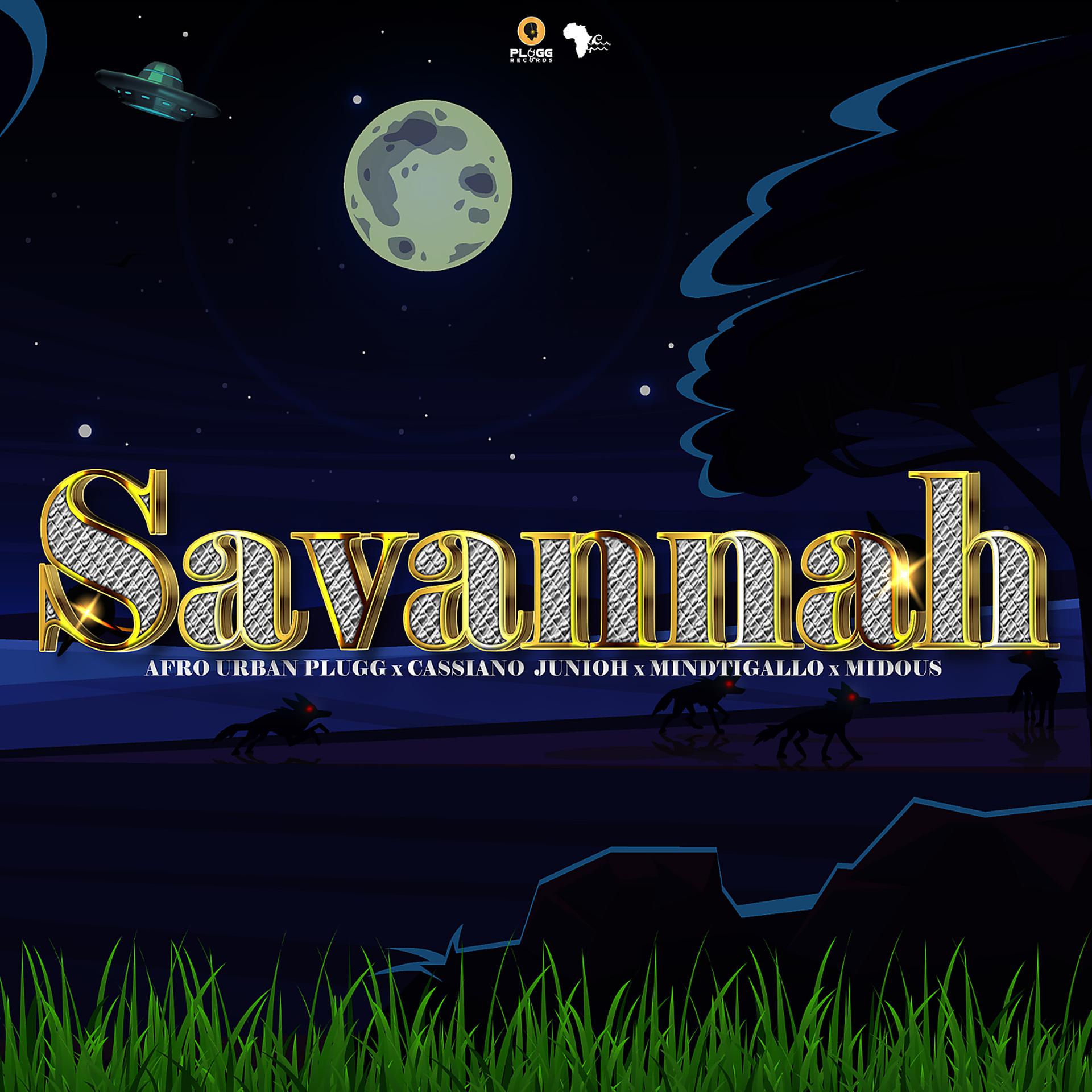 Постер альбома Savannah