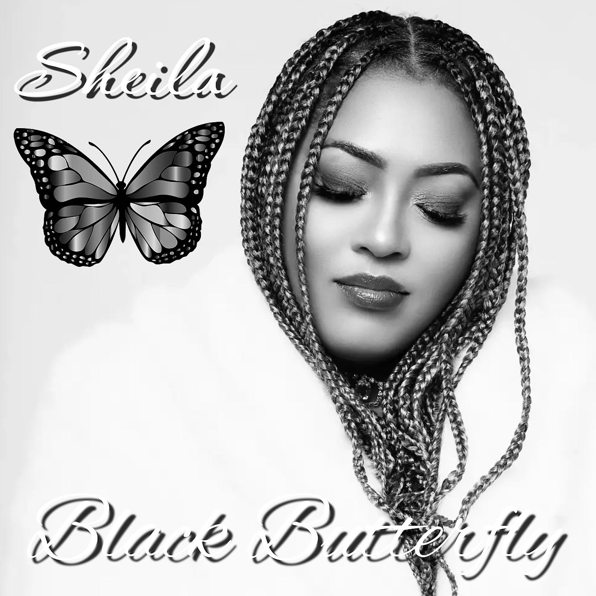 Постер альбома Black Butterfly