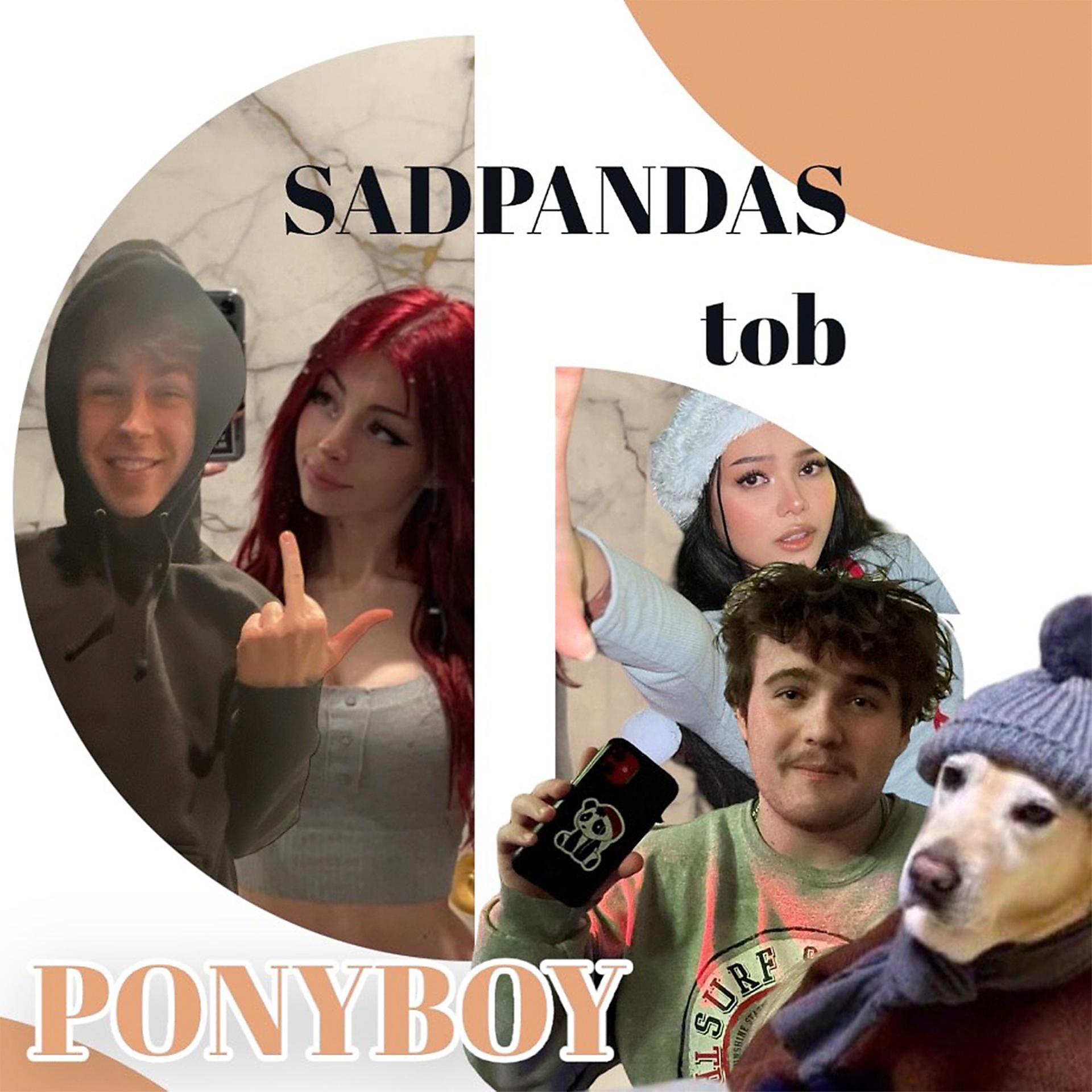 Постер альбома Ponyboy