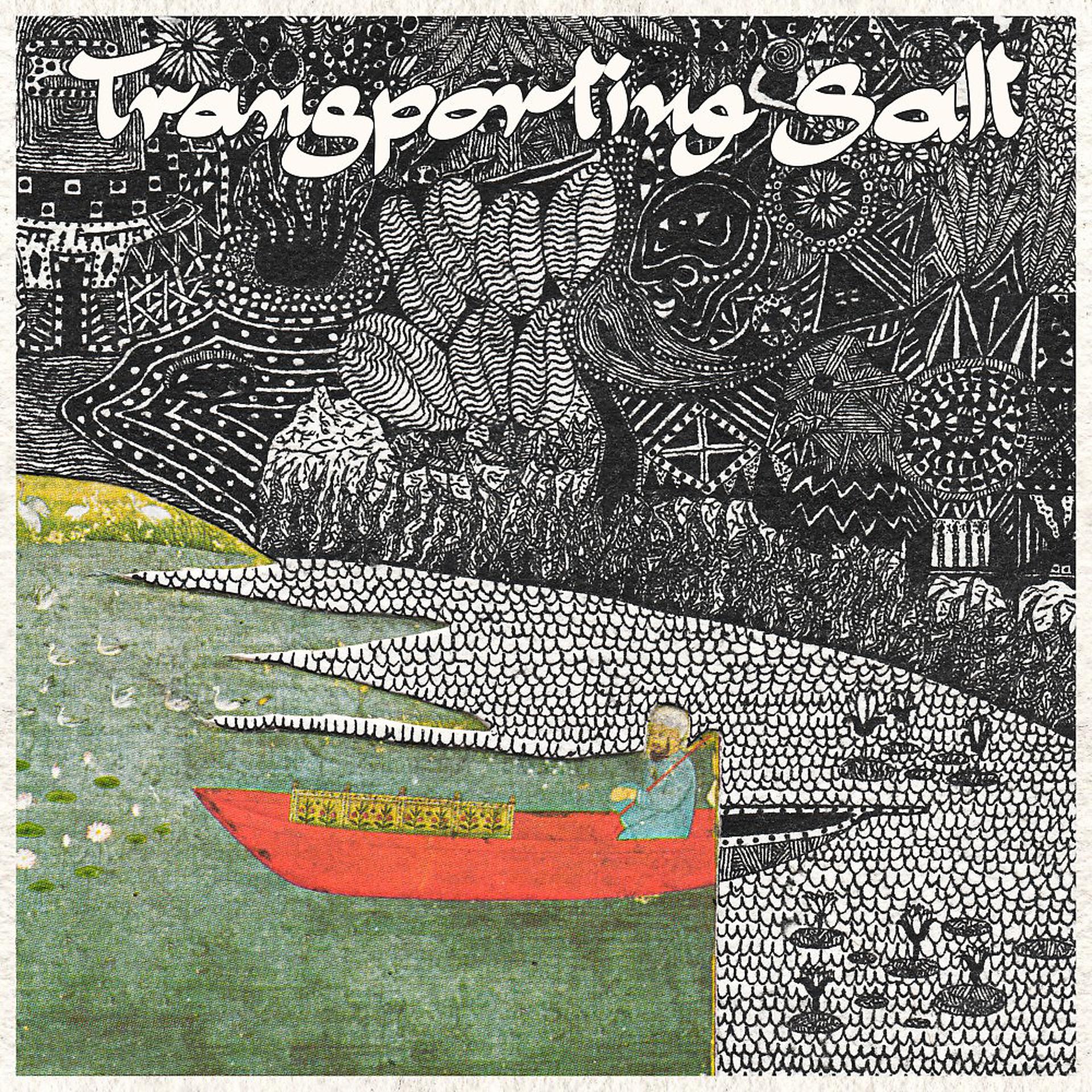 Постер альбома Transporting Salt (Enhanced Edition)