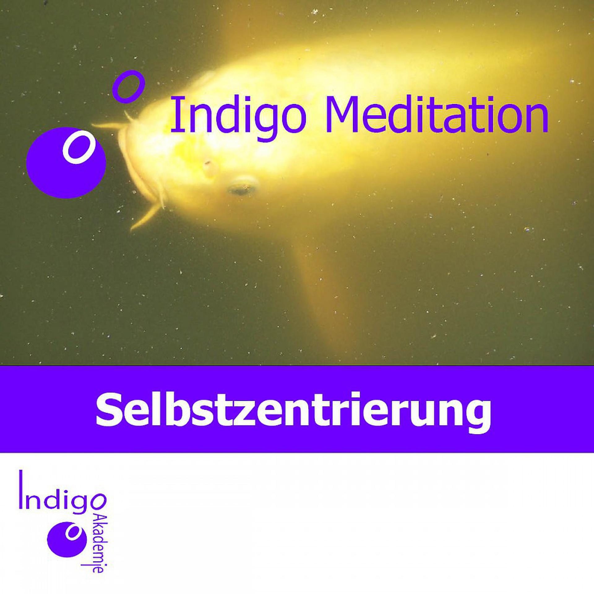 Постер альбома Selbstzentrierung