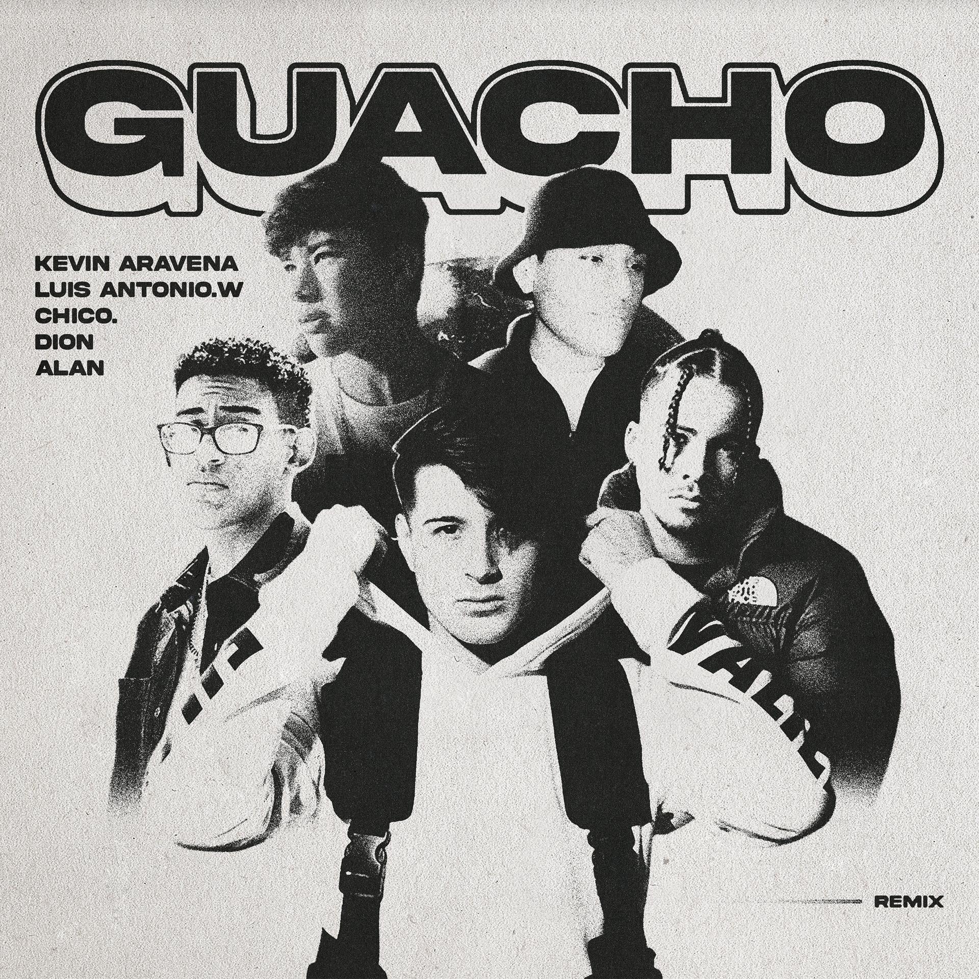 Постер альбома Guacho
