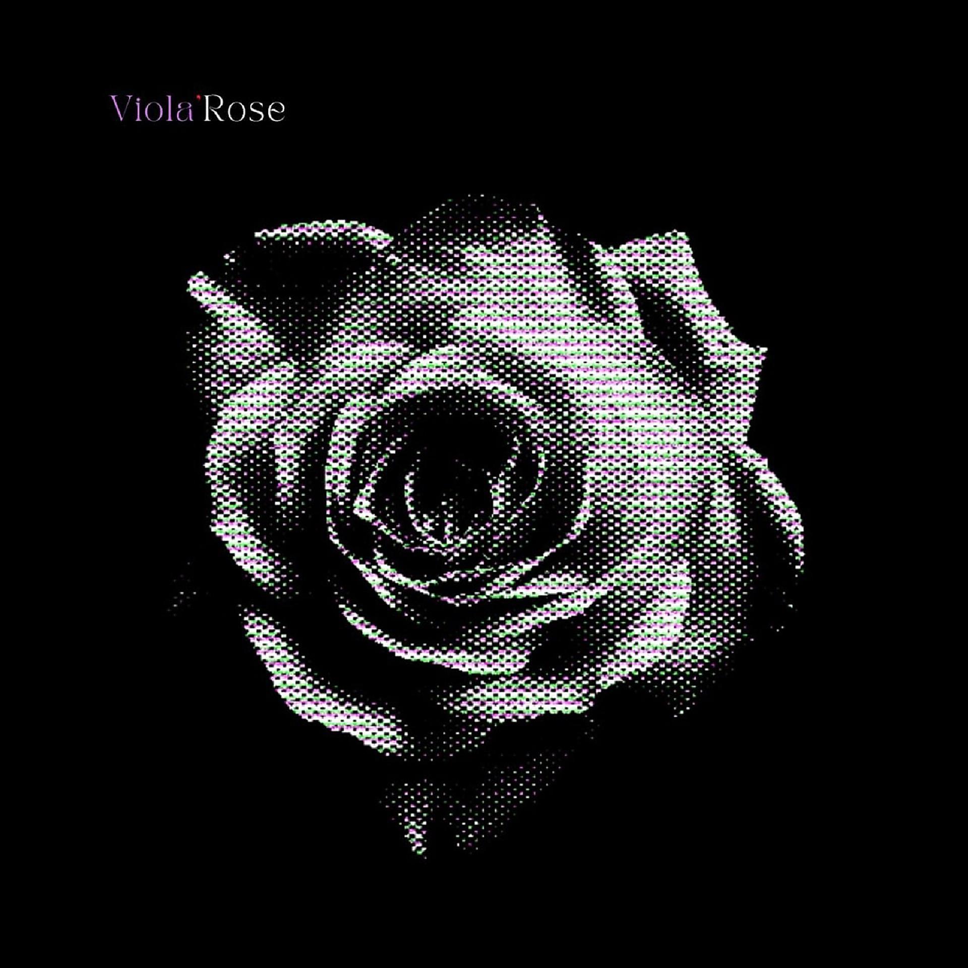 Постер альбома Viola Rose