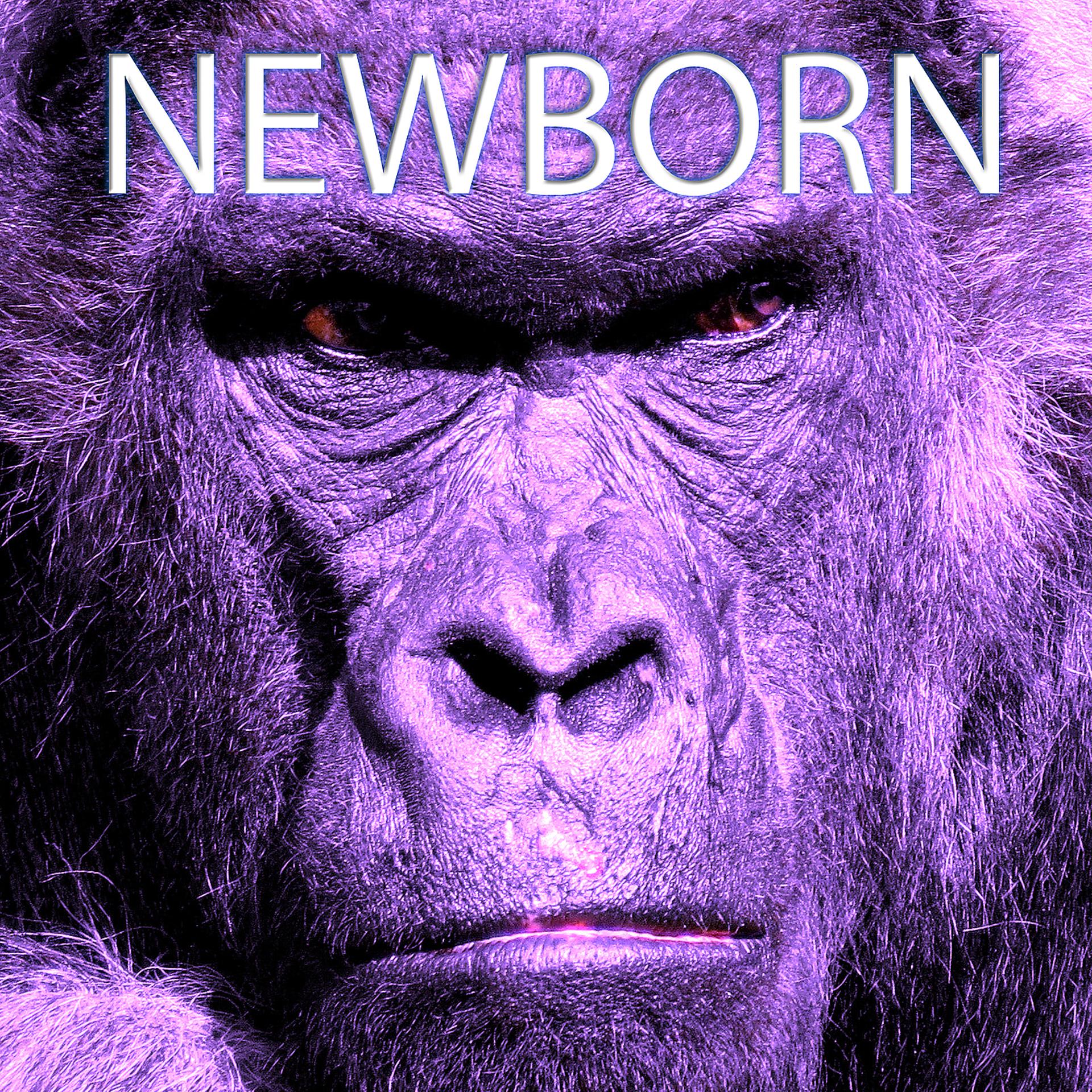 Постер альбома Newborn