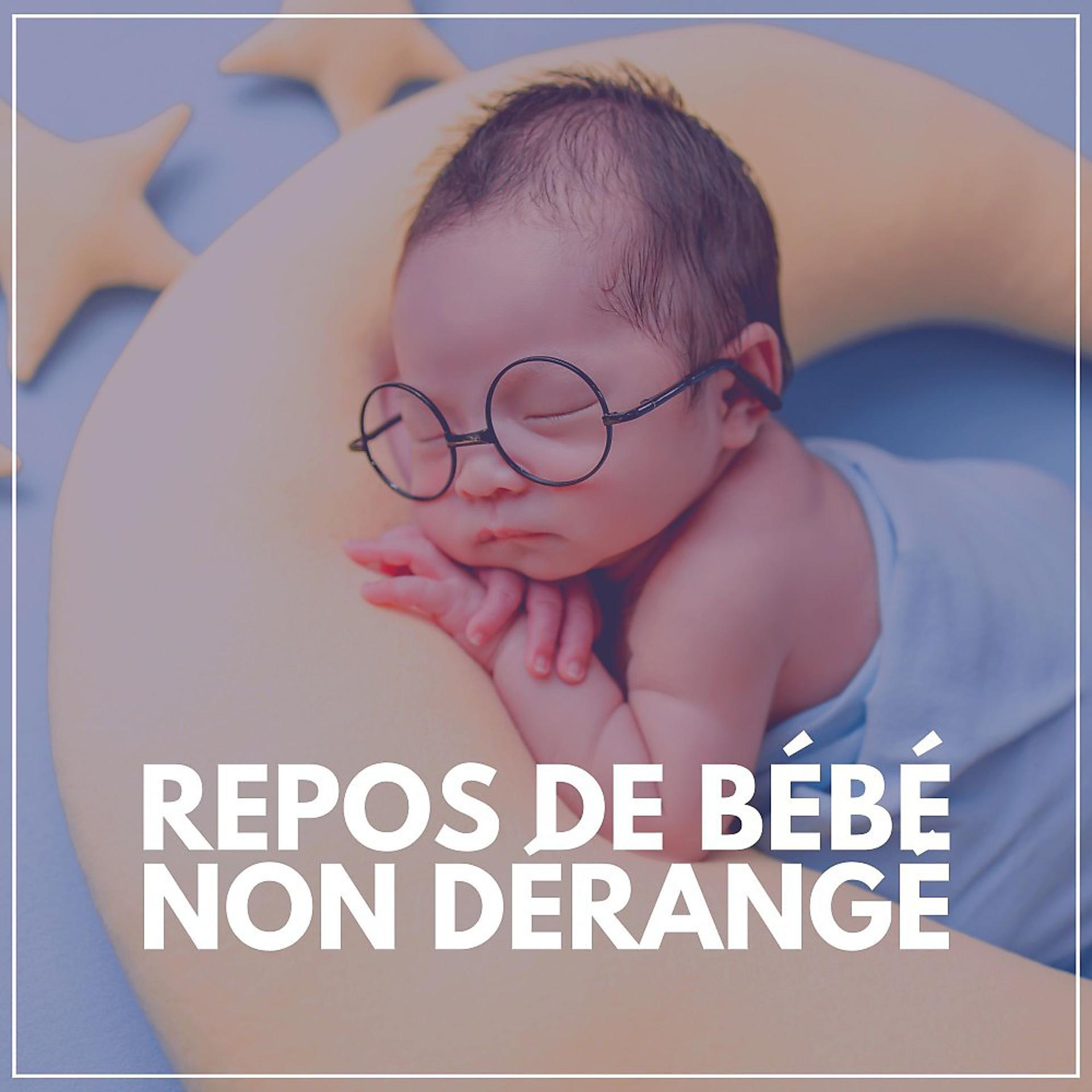 Постер альбома Repos de Bébé Non Dérangé