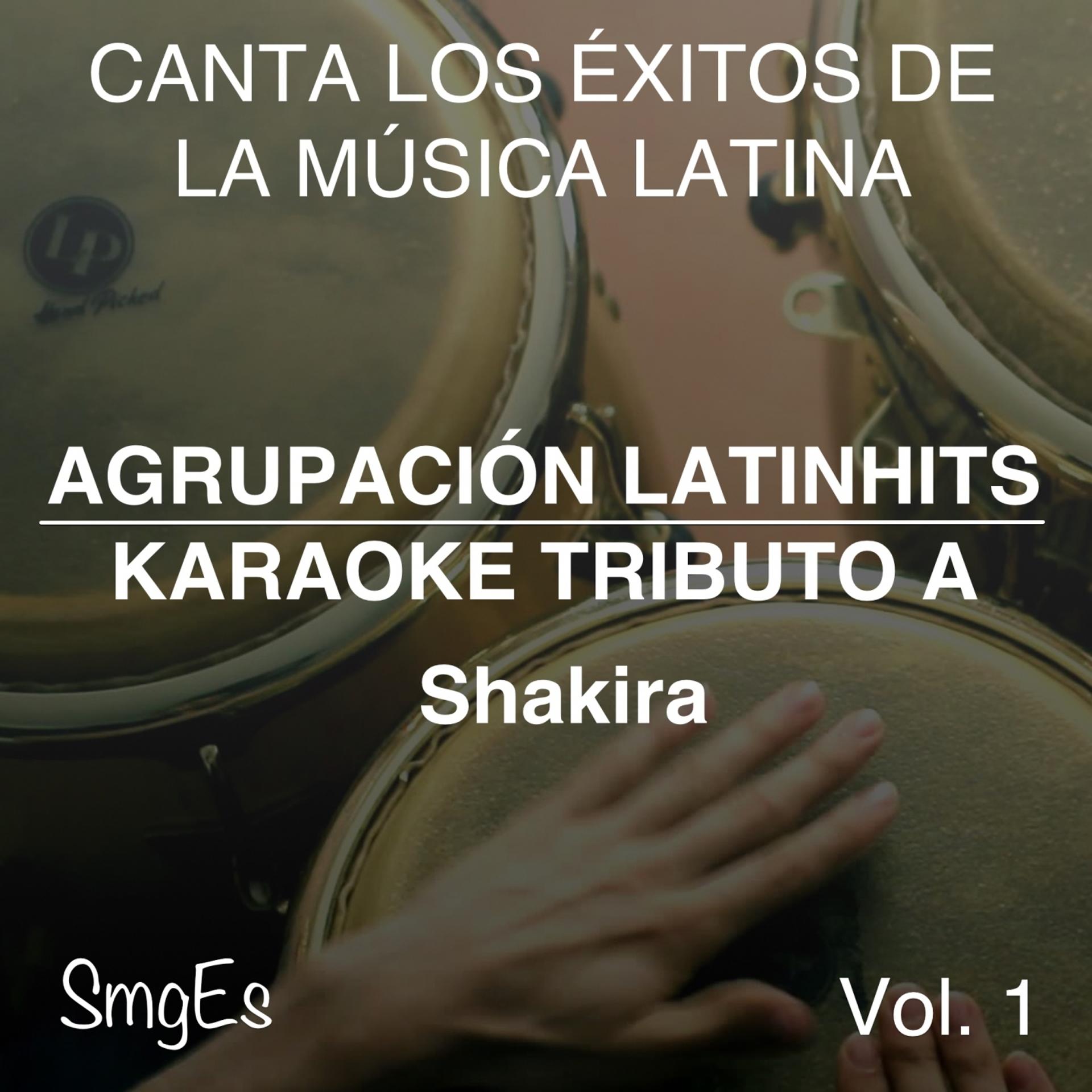 Постер альбома Instrumental Karaoke Series: Shakira, Vol. 1