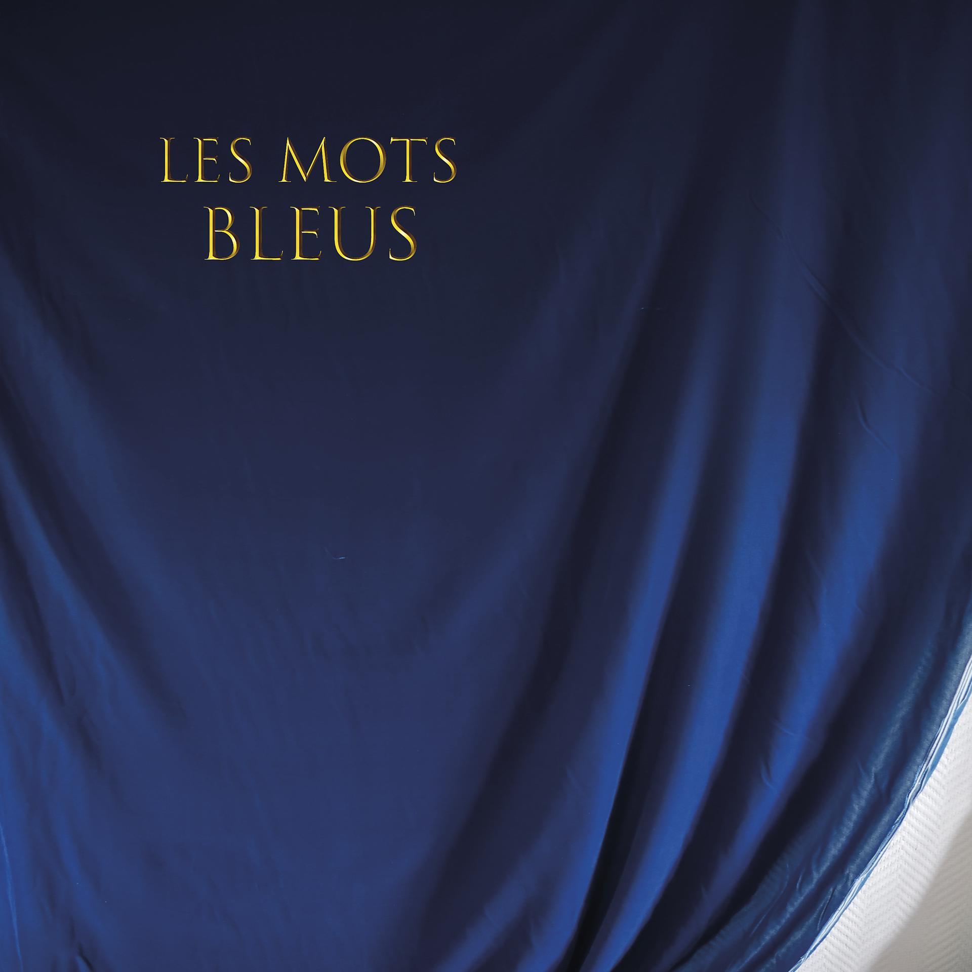 Постер альбома Les mots bleus