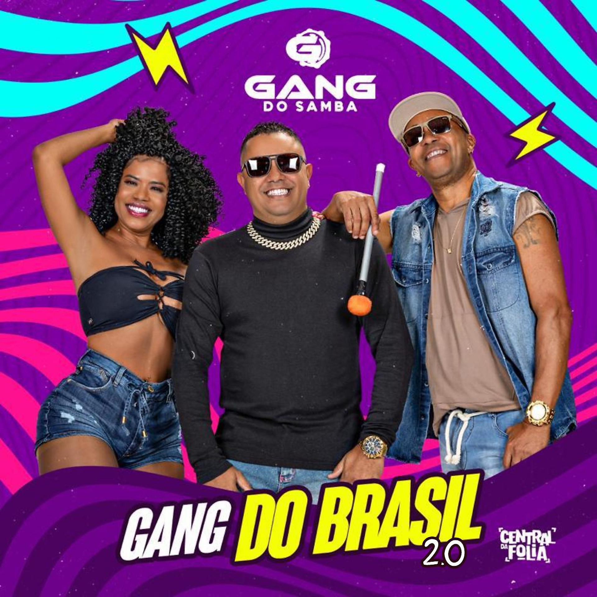 Постер альбома Gang Do Brasil 2.0