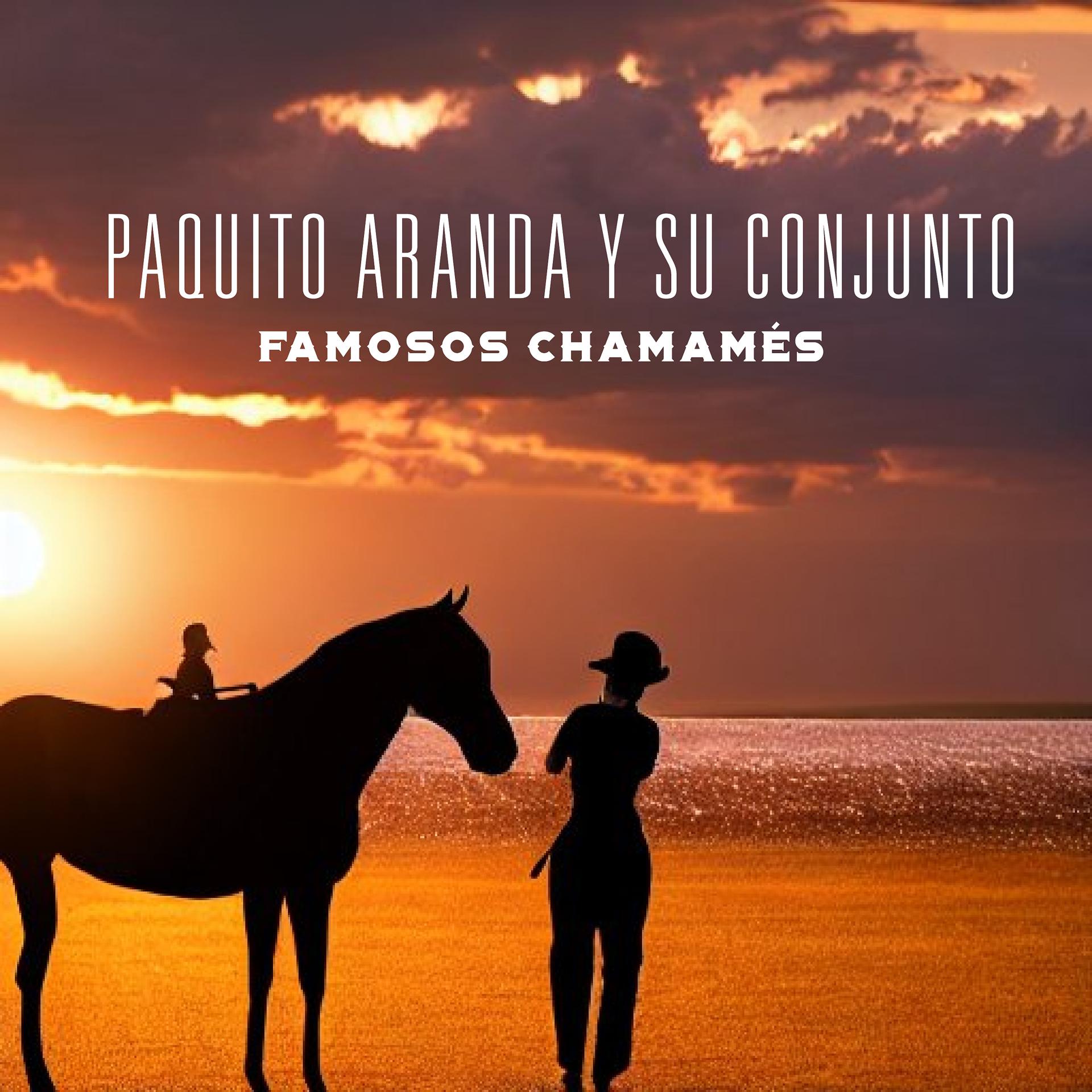 Постер альбома Famosos Chamamés
