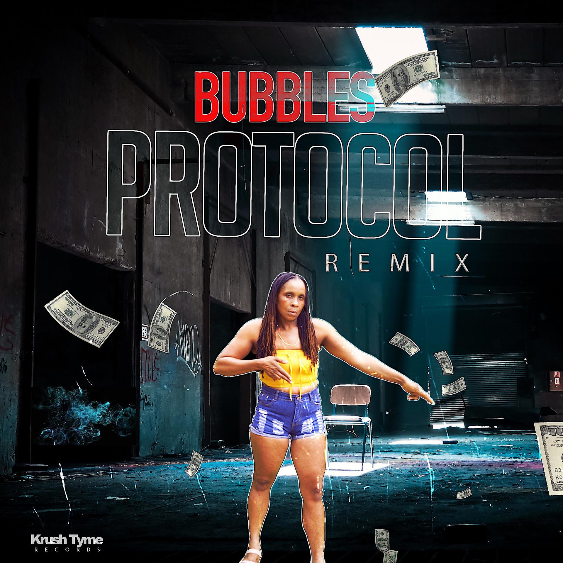 Постер альбома Protocol Remix