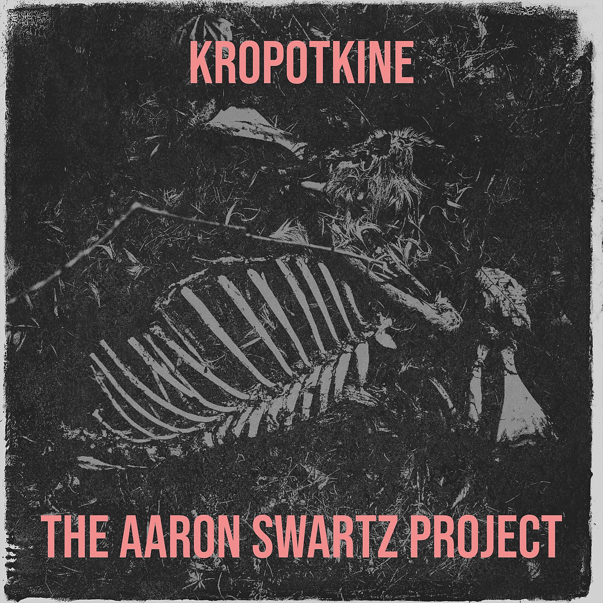 Постер альбома Kropotkine