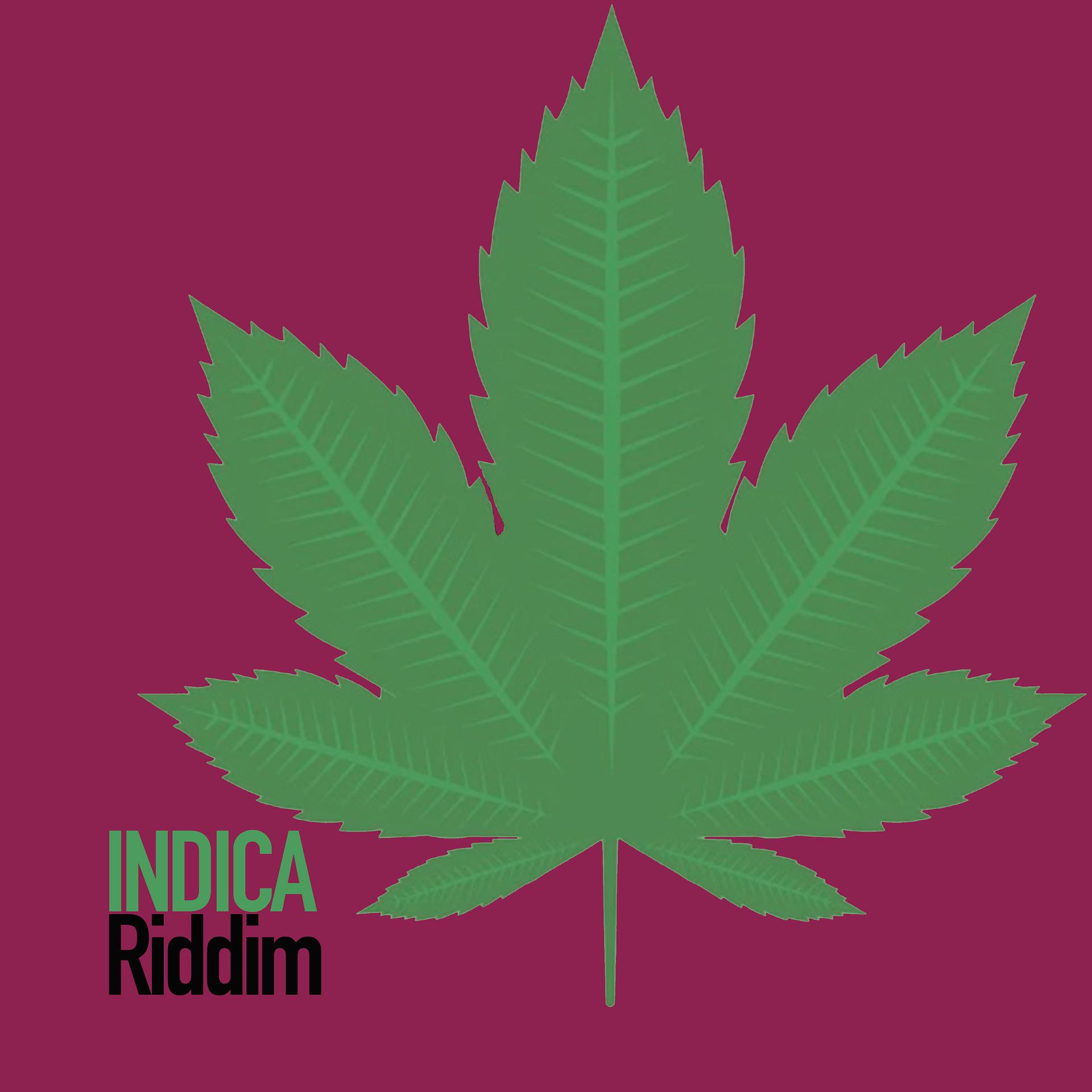 Постер альбома Indica Riddim
