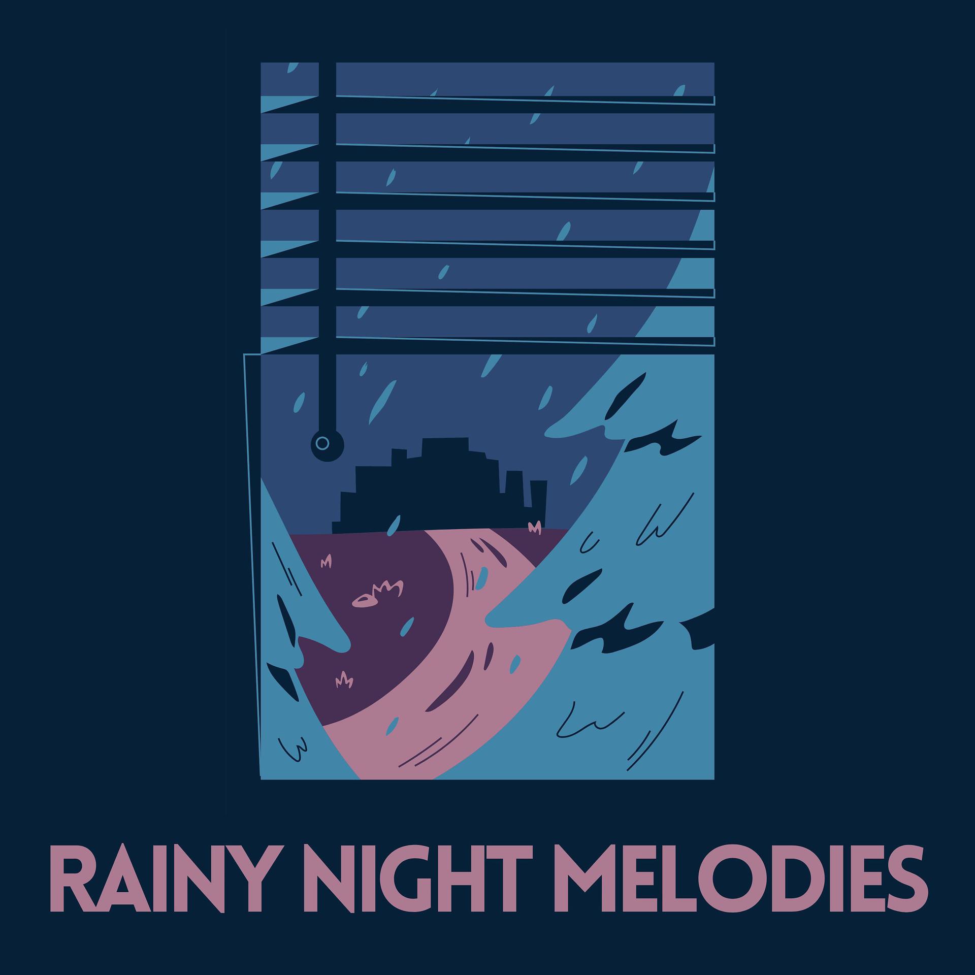 Постер альбома Rainy Night Melodies