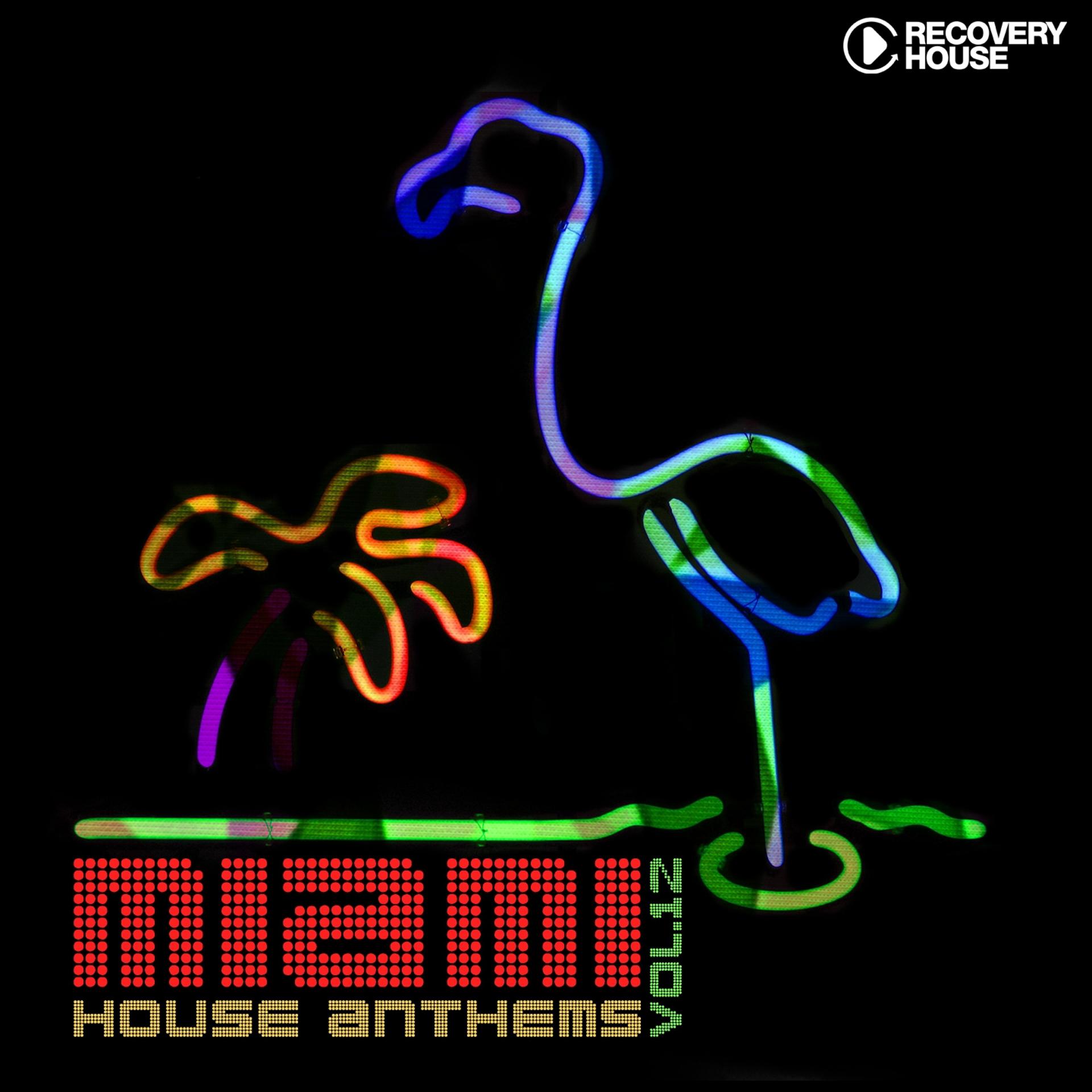 Постер альбома Miami House Anthems, Vol. 12