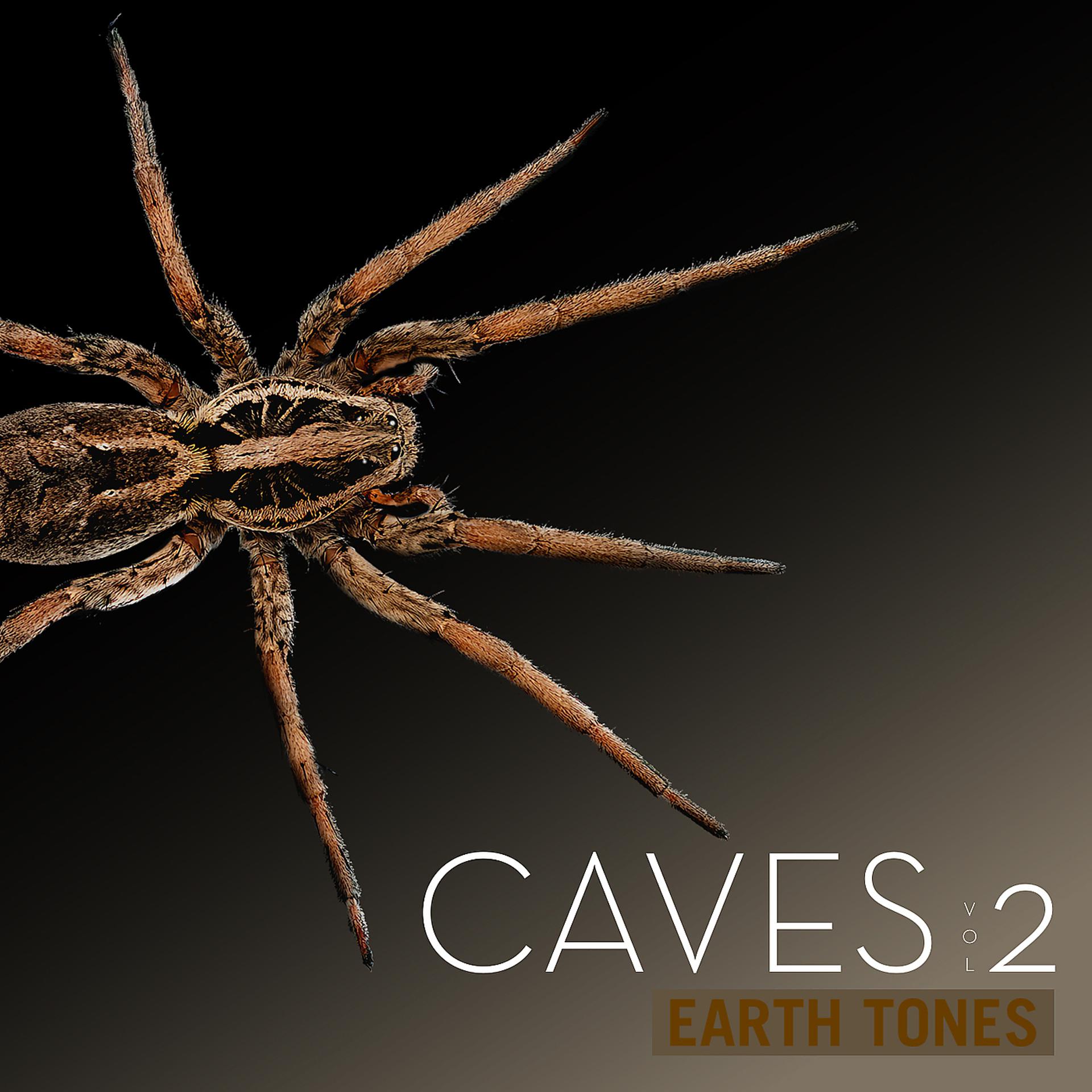 Постер альбома Earth Tones: Caves, Vol. 2