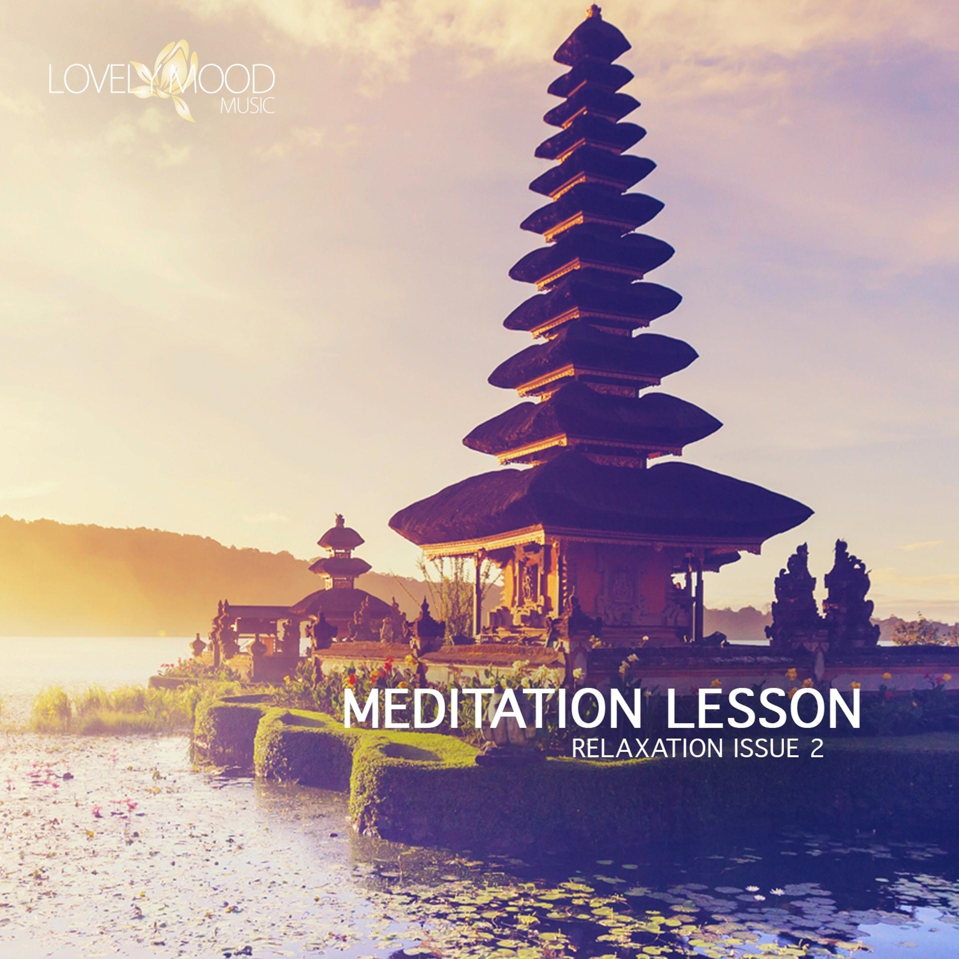 Постер альбома Meditation Lesson - Relaxation Issue 2