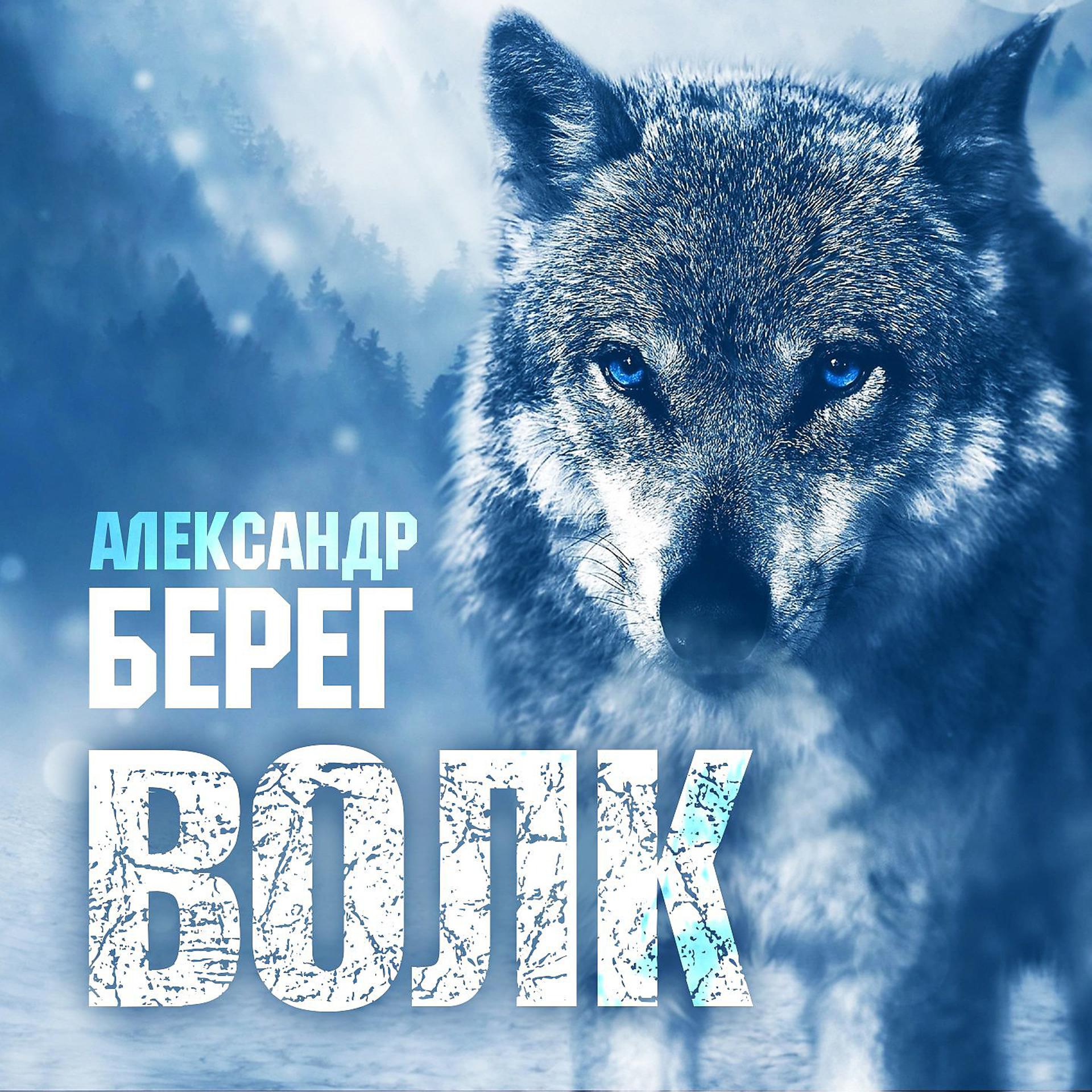Постер альбома Волк