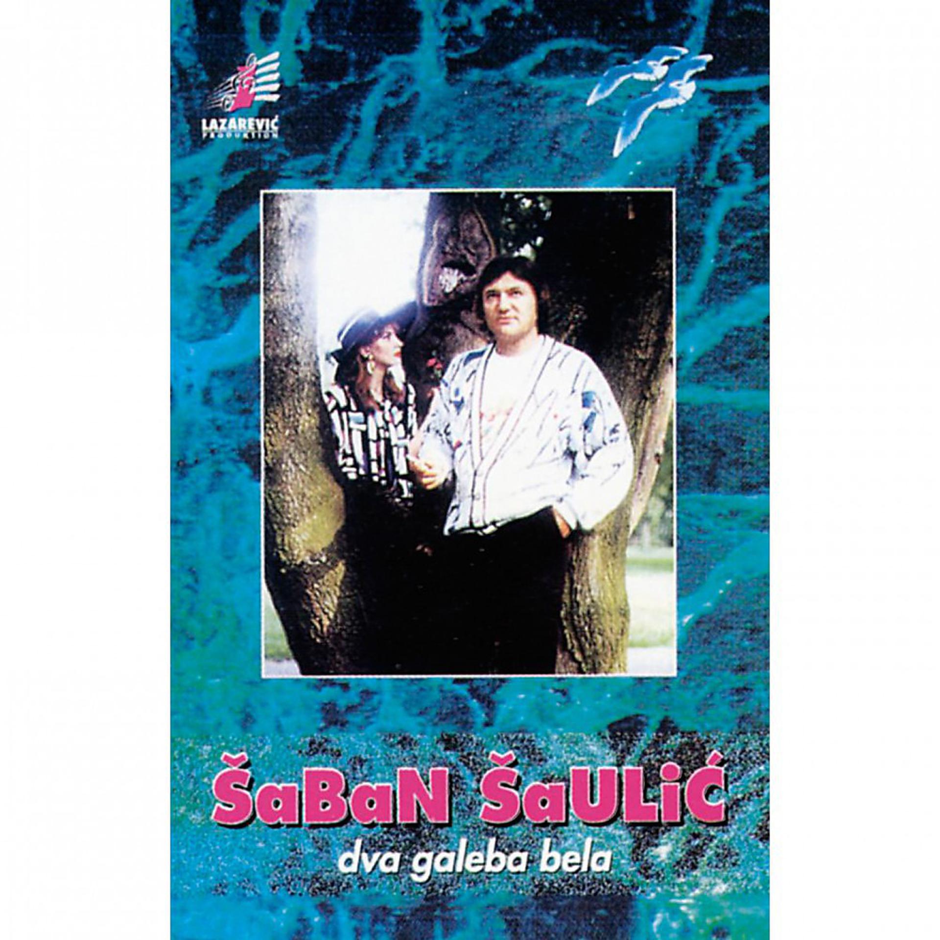 Постер альбома Dva Galeba Bela