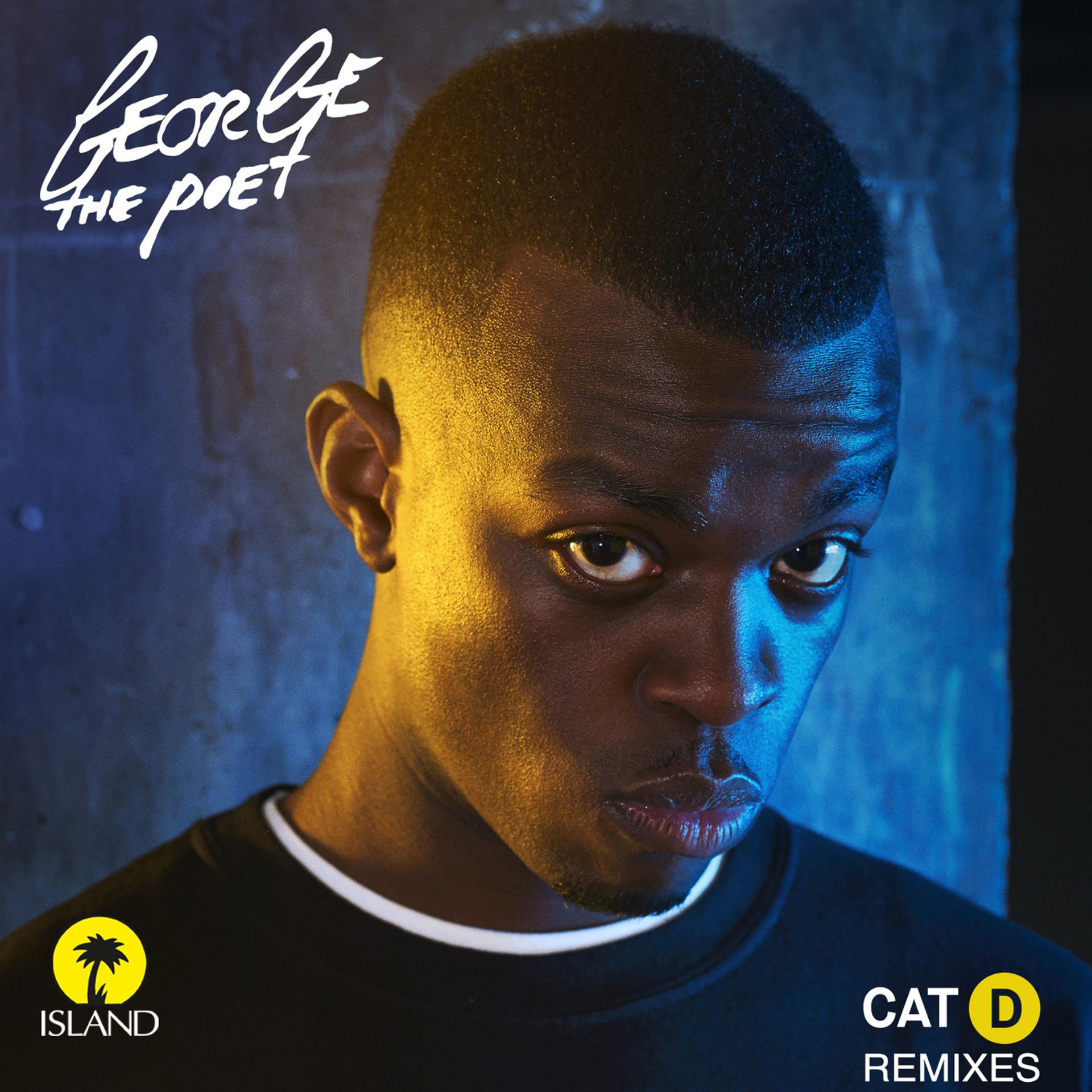 Постер альбома Cat D