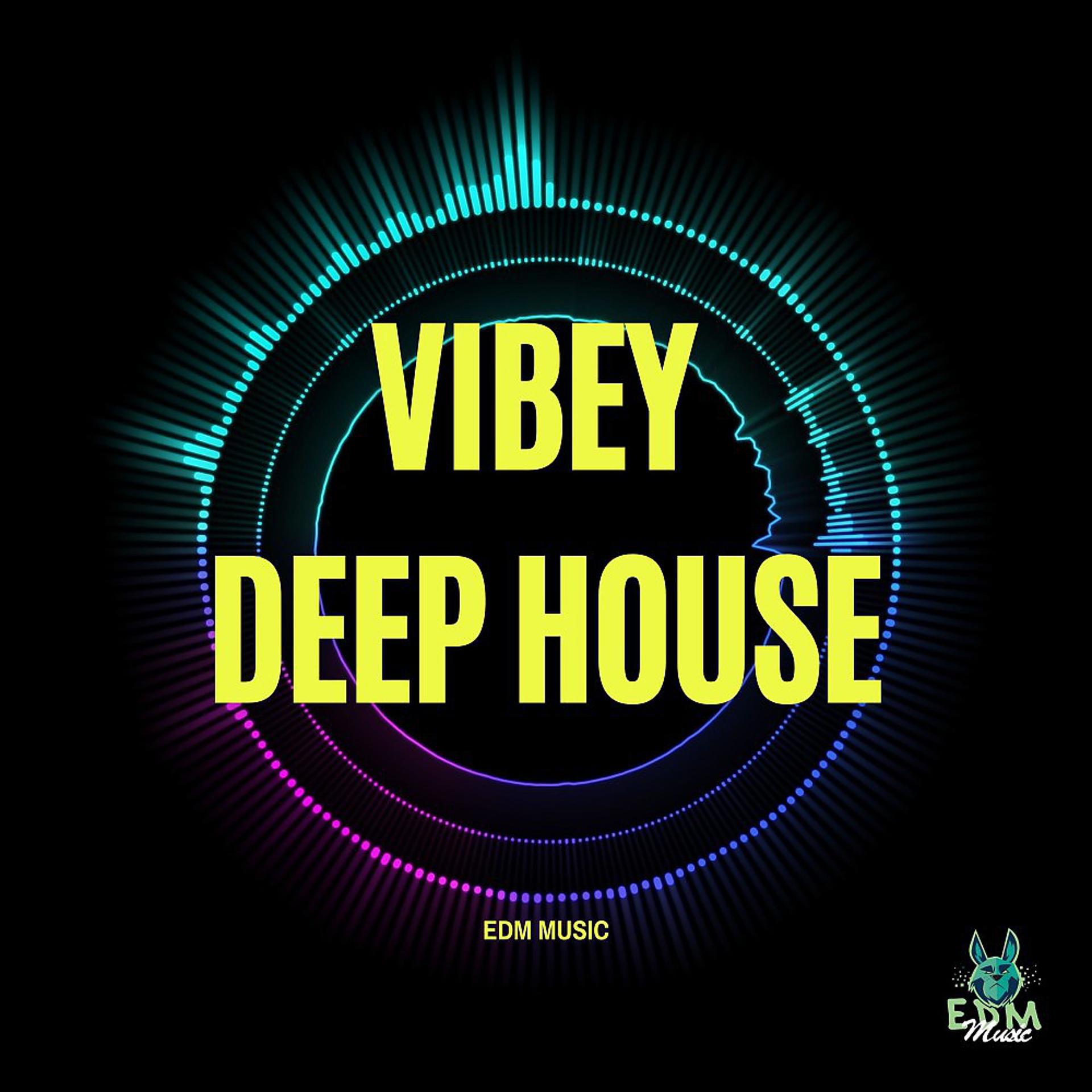 Постер альбома Vibey Deep House
