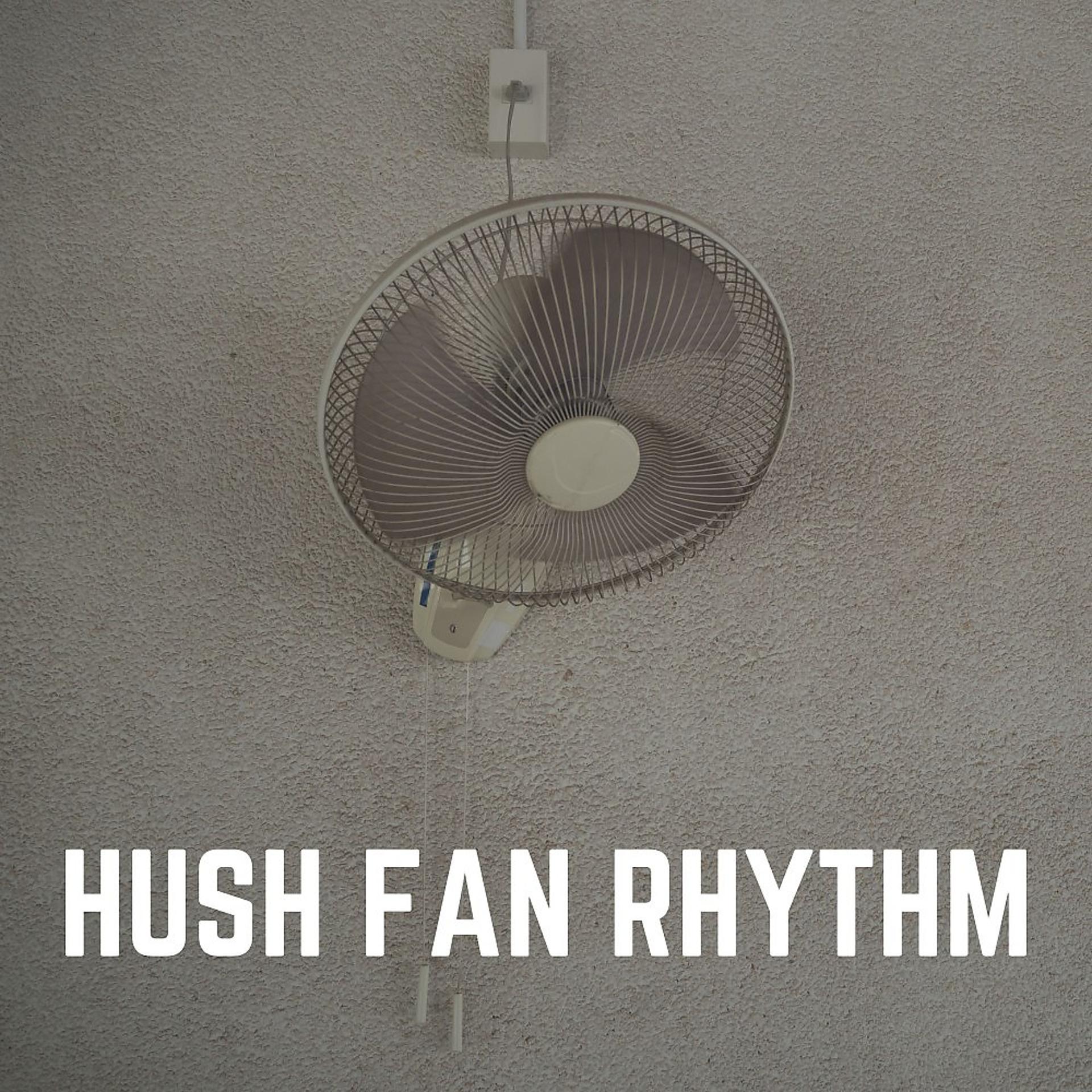Постер альбома Hush Fan Rhythm