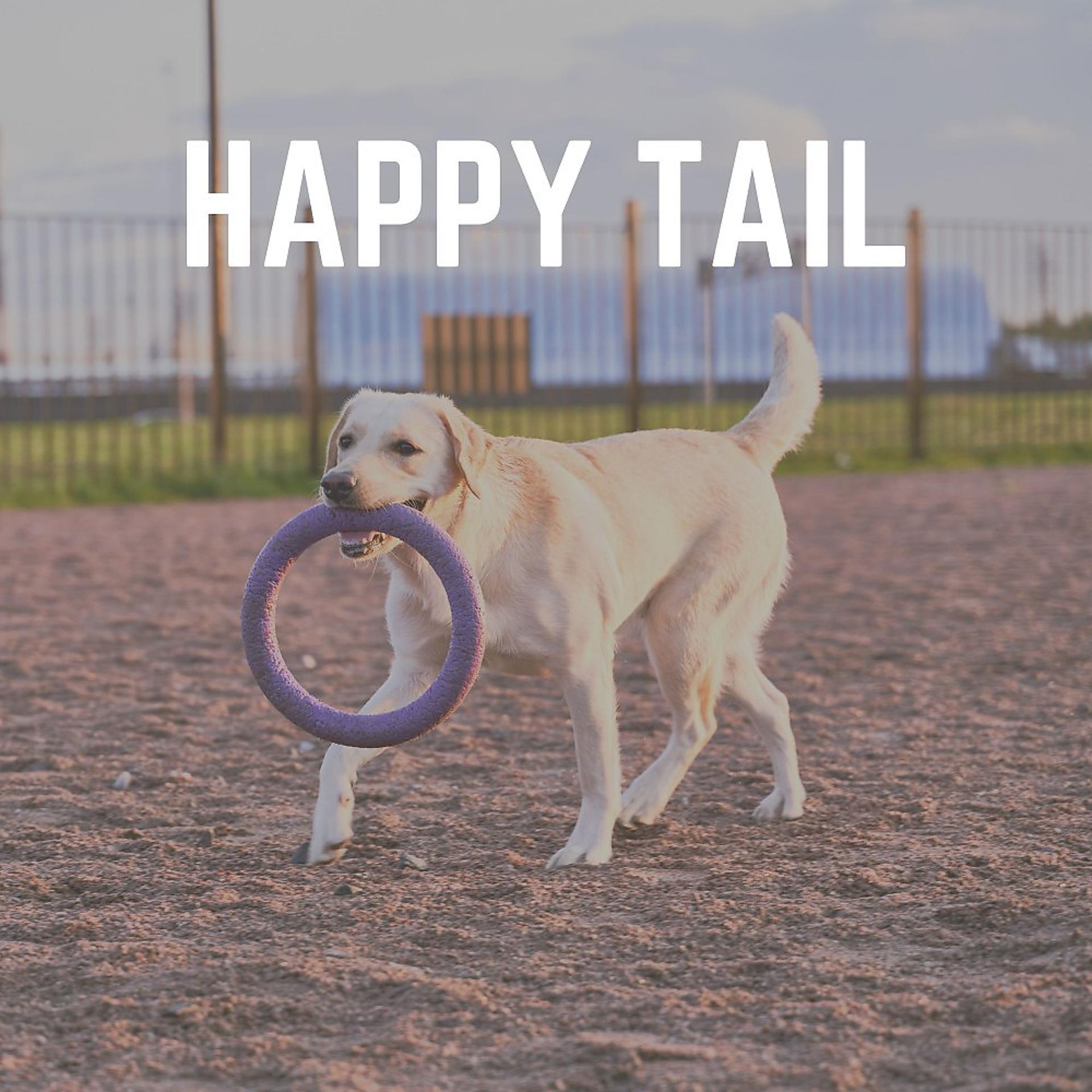 Постер альбома Happy Tail