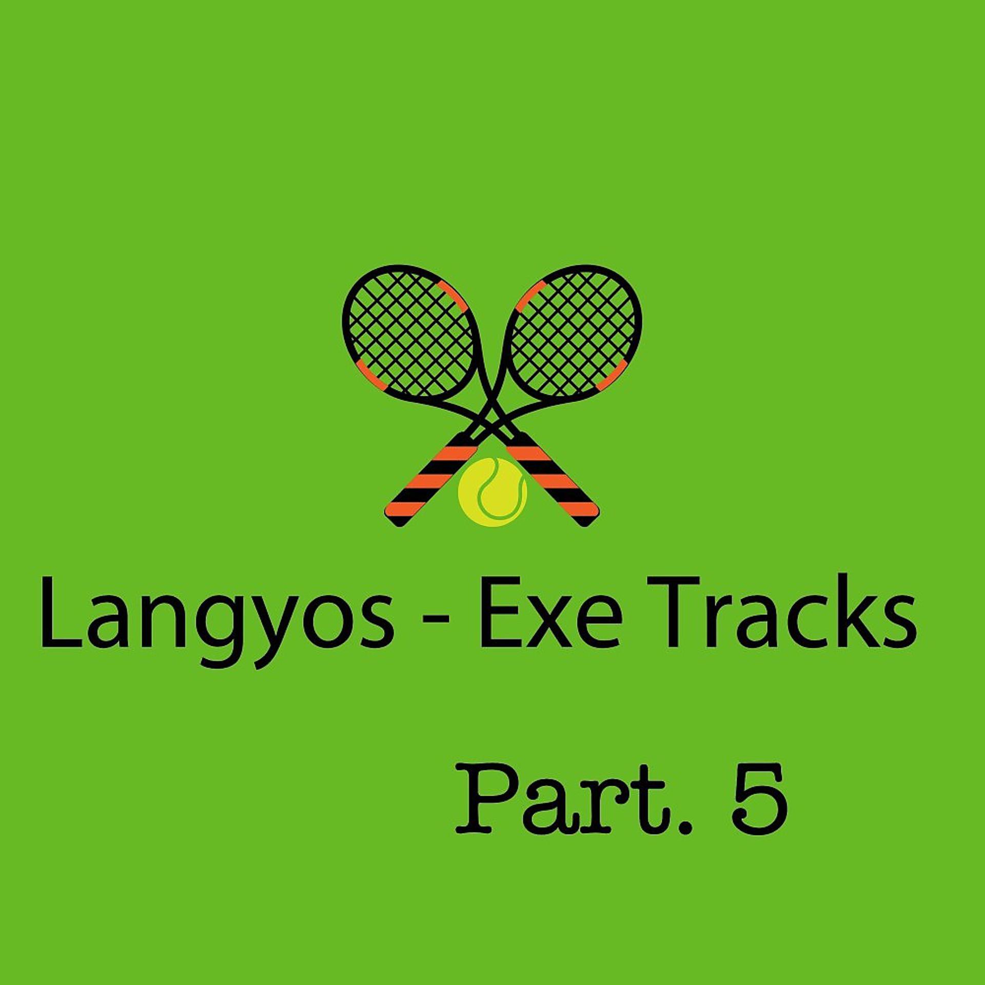 Постер альбома Langyos - Exe Tracks , Pt. 5
