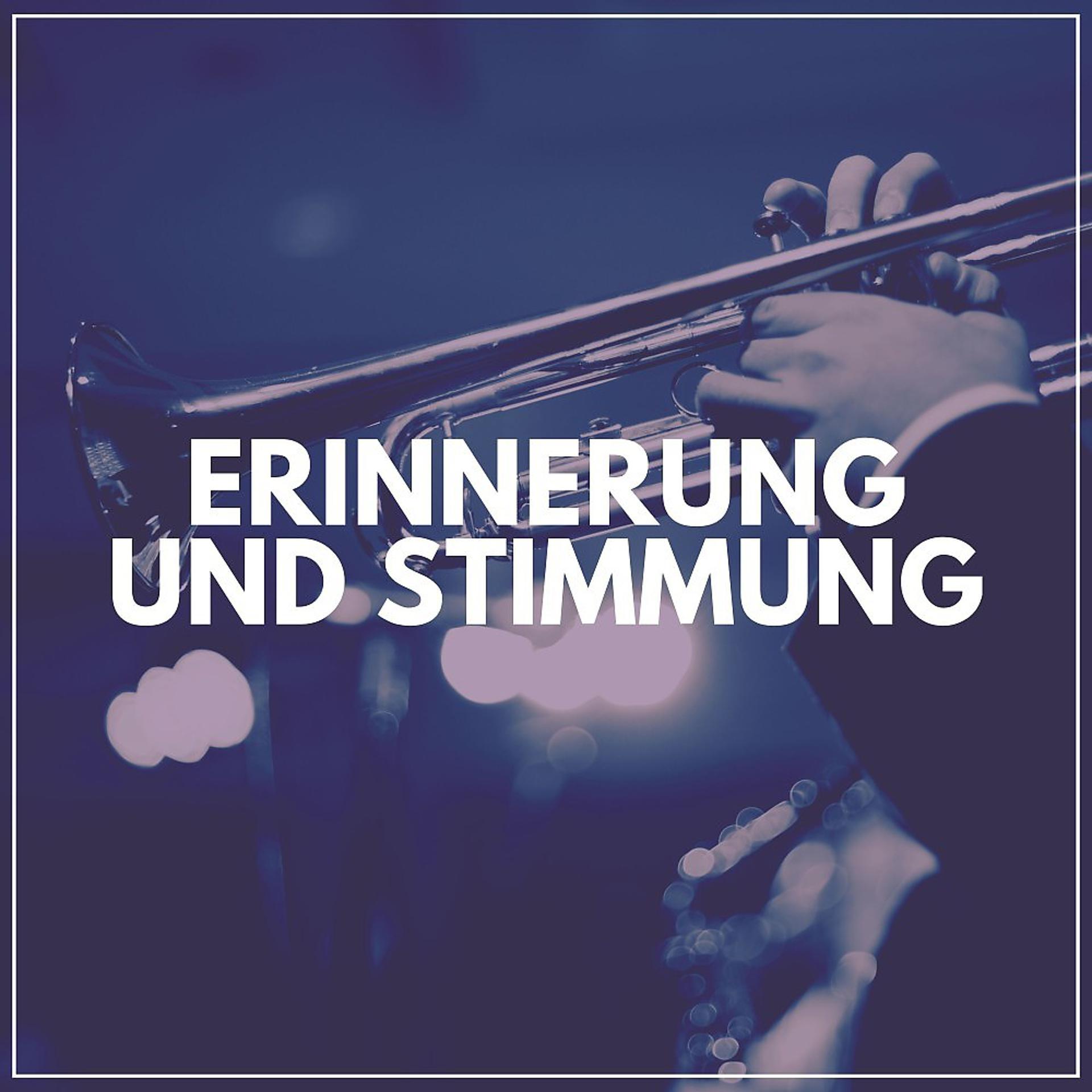 Постер альбома Erinnerung und Stimmung