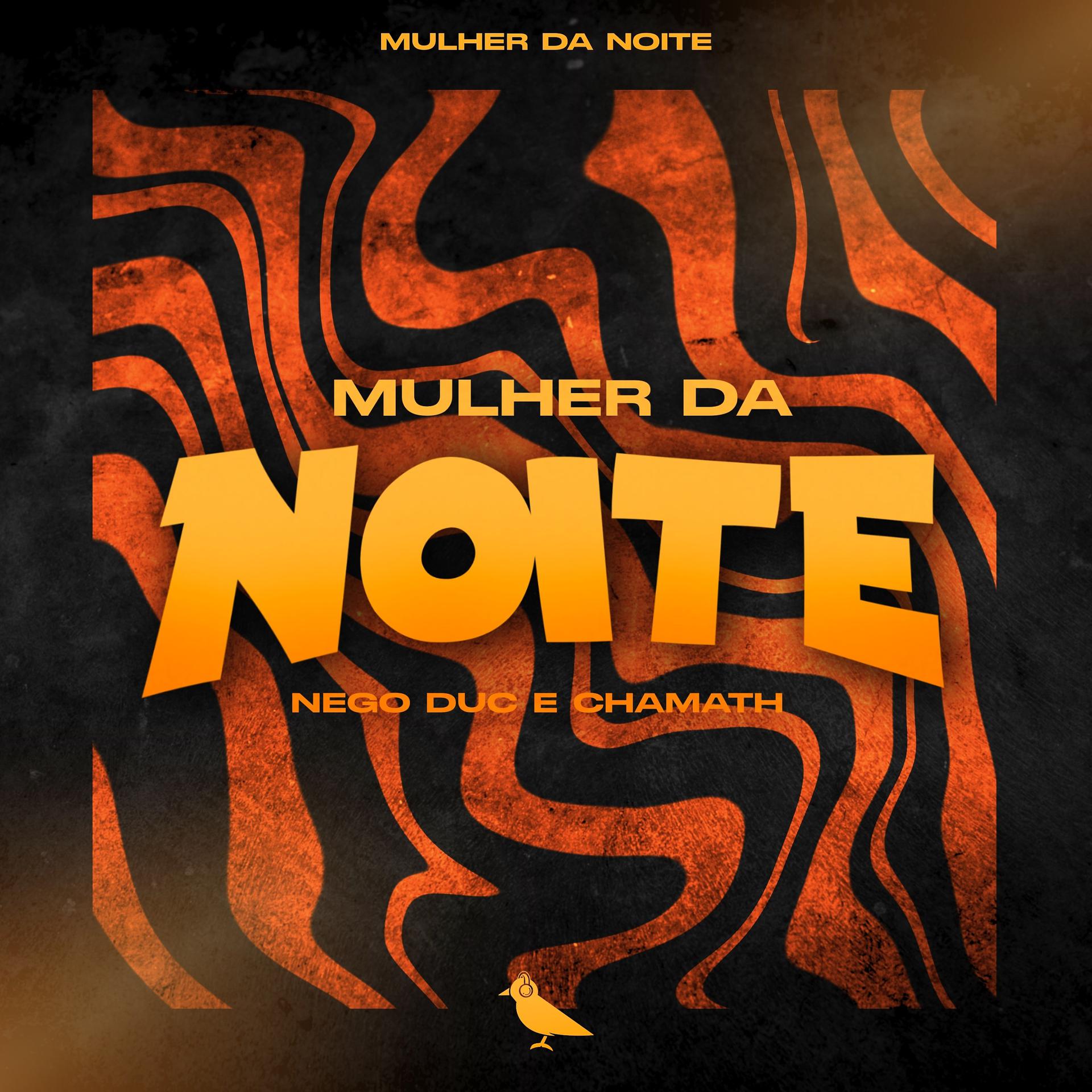 Постер альбома Mulher da Noite