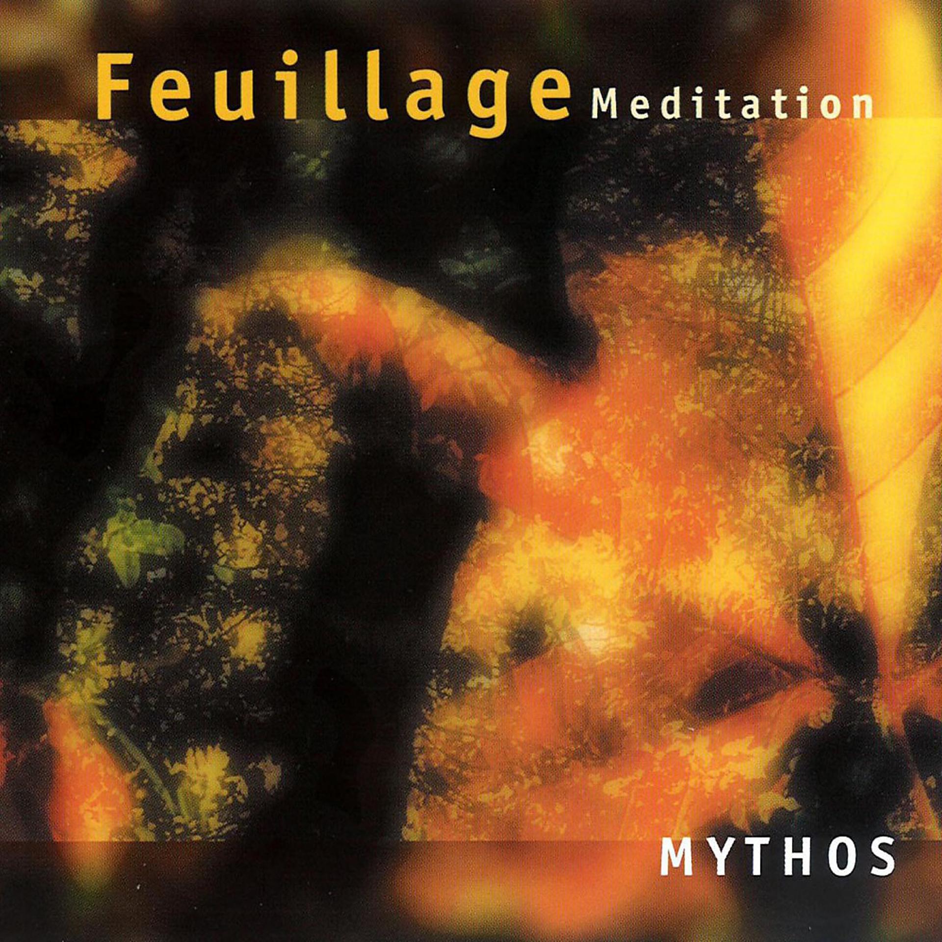 Постер альбома Feuillage - Meditation