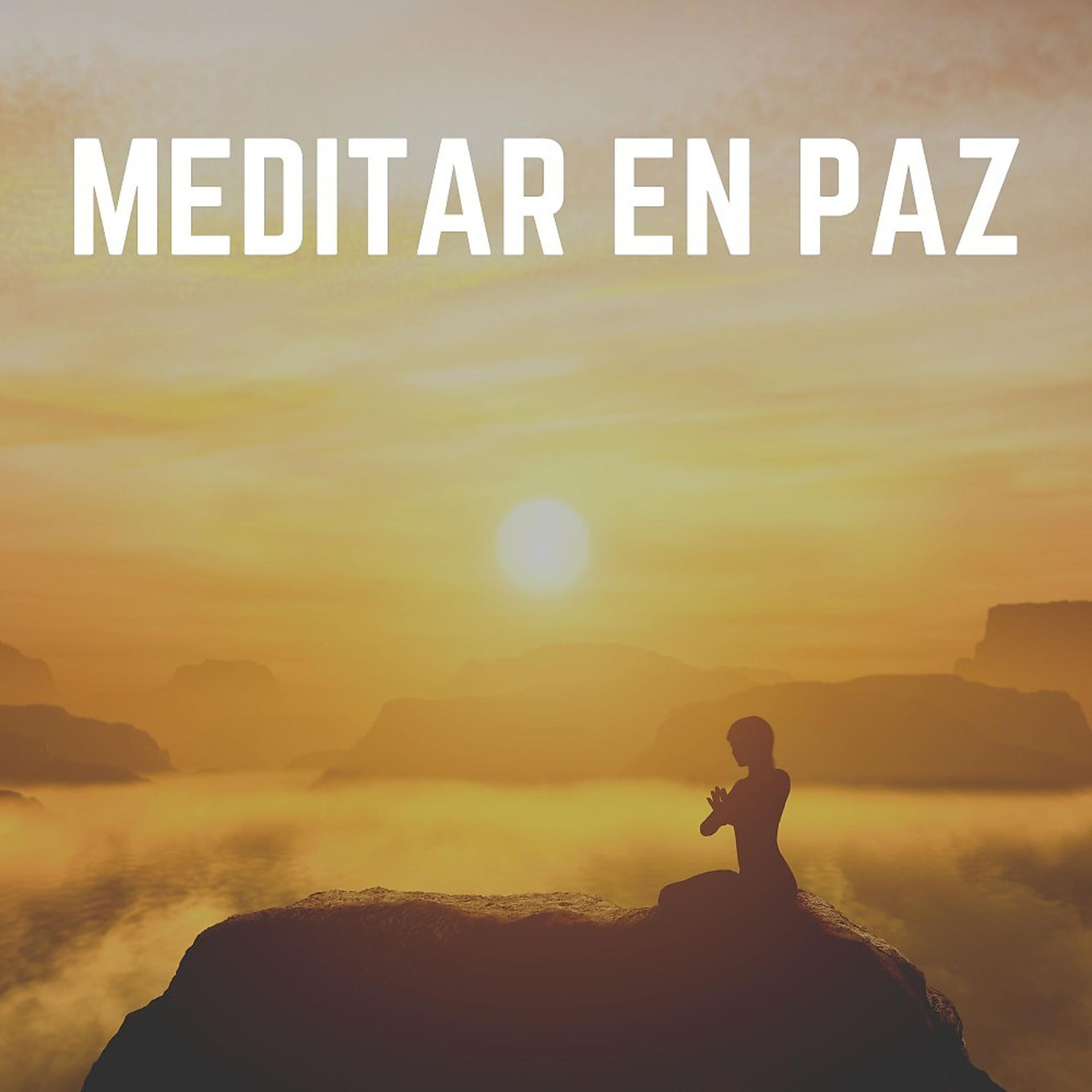 Постер альбома Meditar en Paz