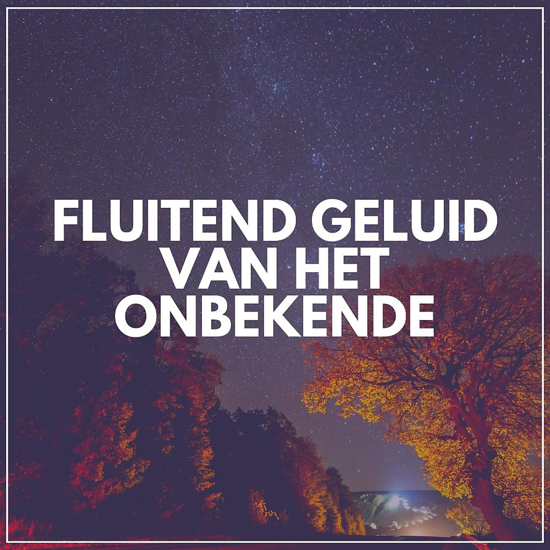 Постер альбома Fluitend Geluid Van Het Onbekende