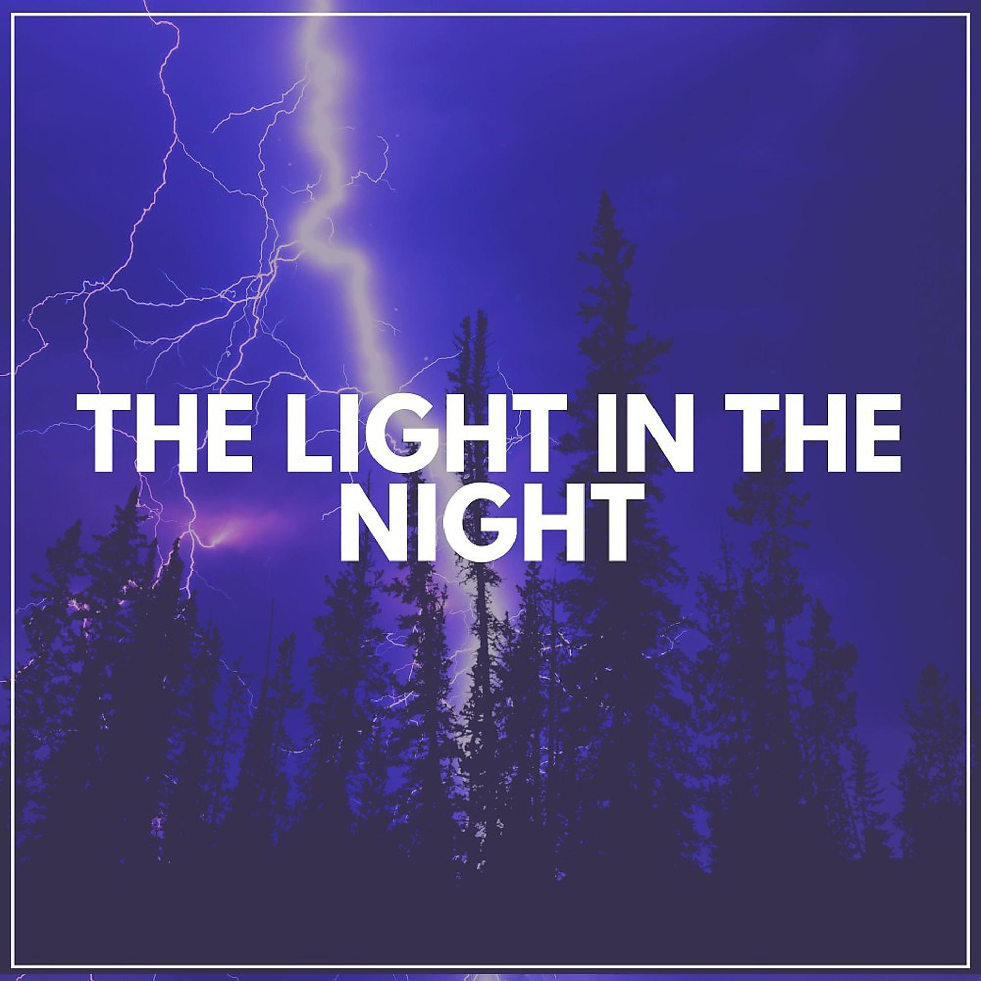 Постер альбома The Light in the Night