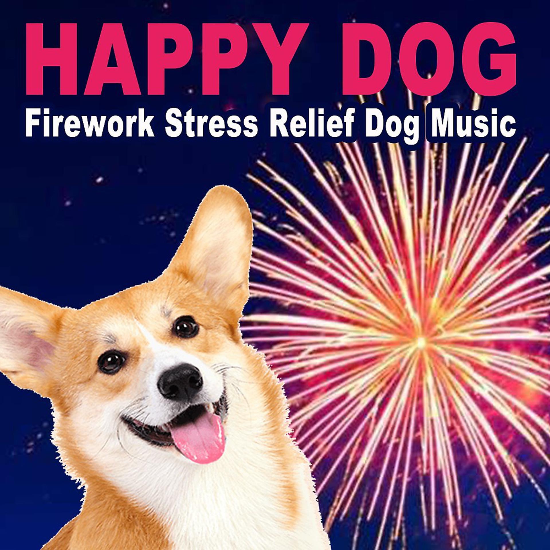 Постер альбома Firework Stress Relief Dog Piano Music