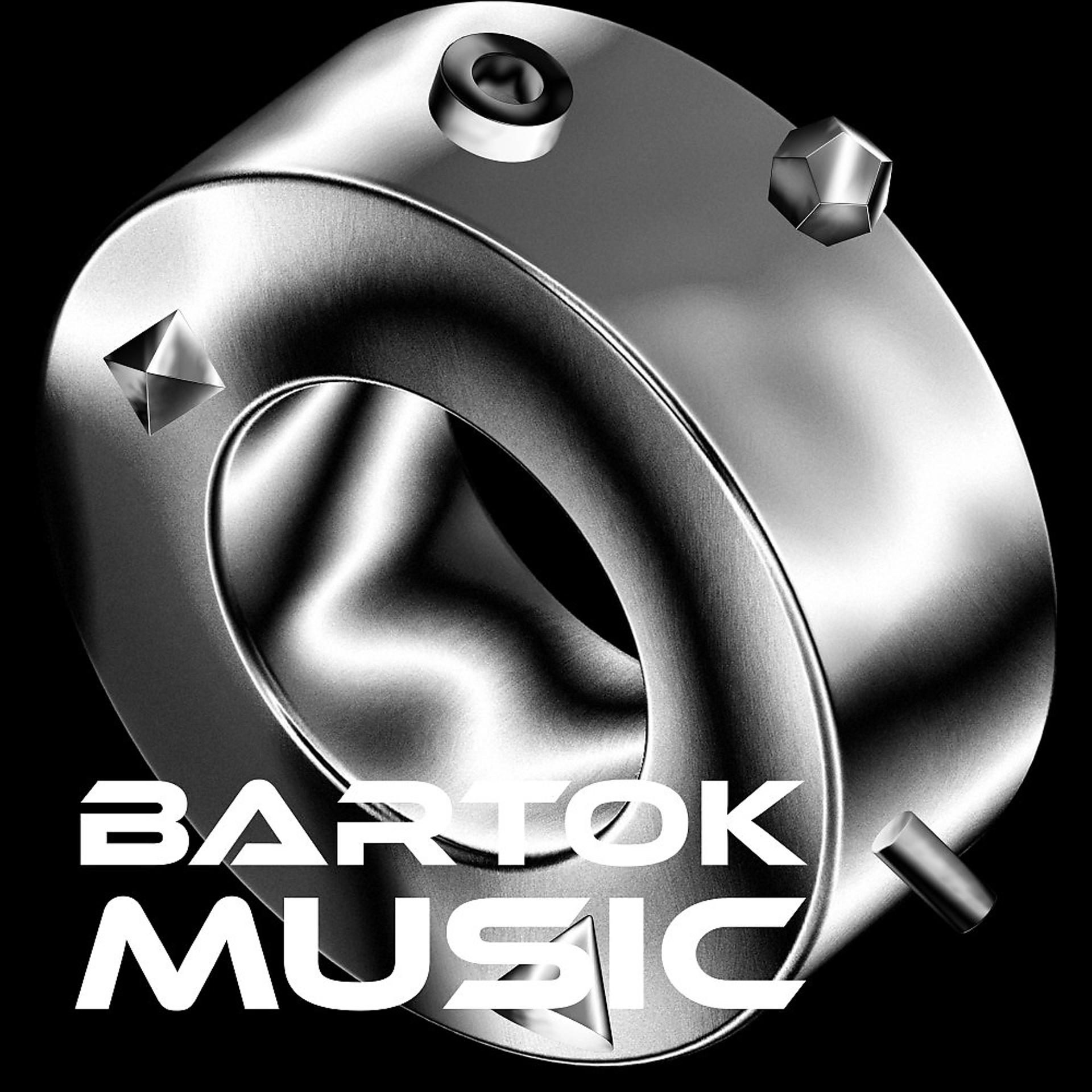 Постер альбома Bartok Music