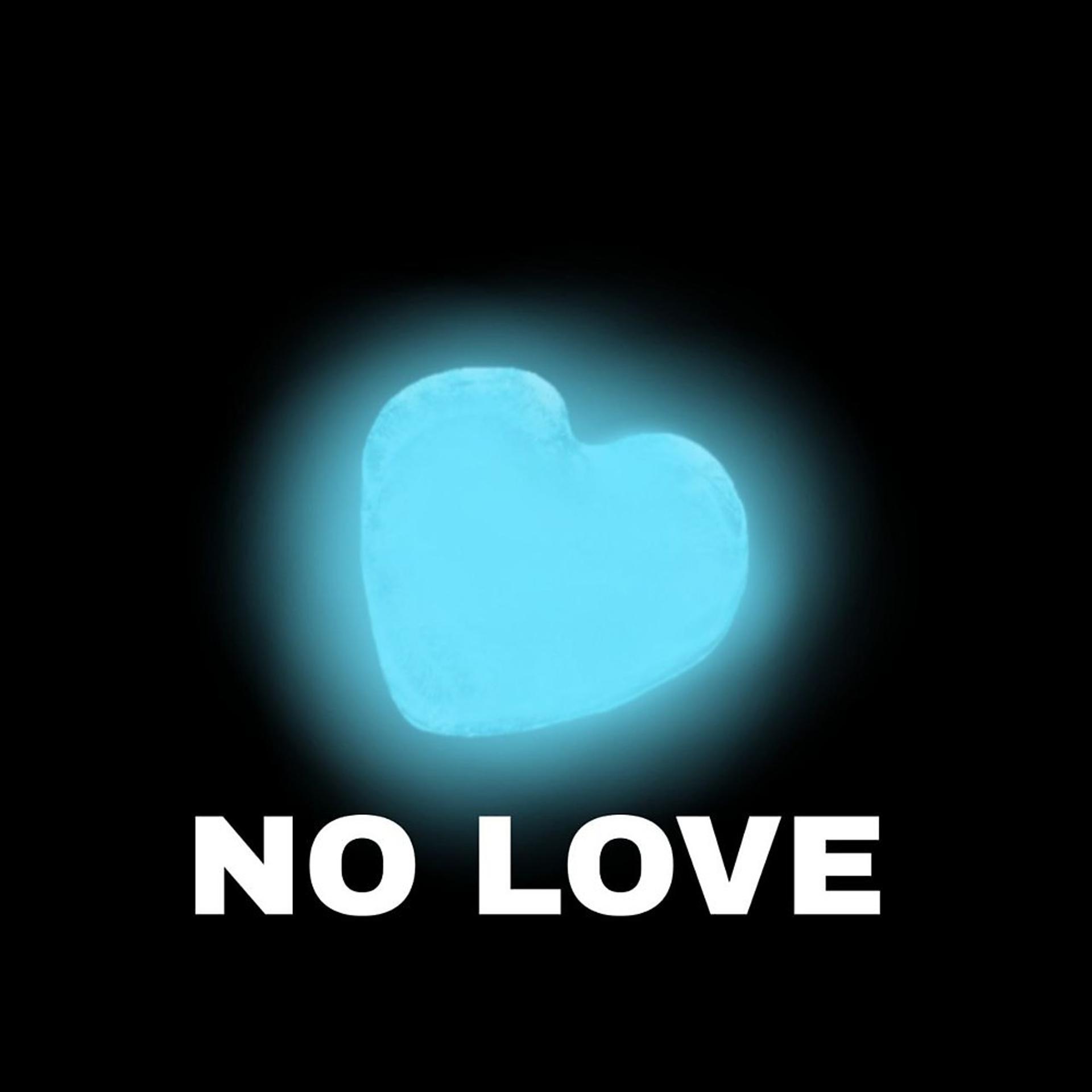 Постер альбома No Love (Prod. By Veron Ask)