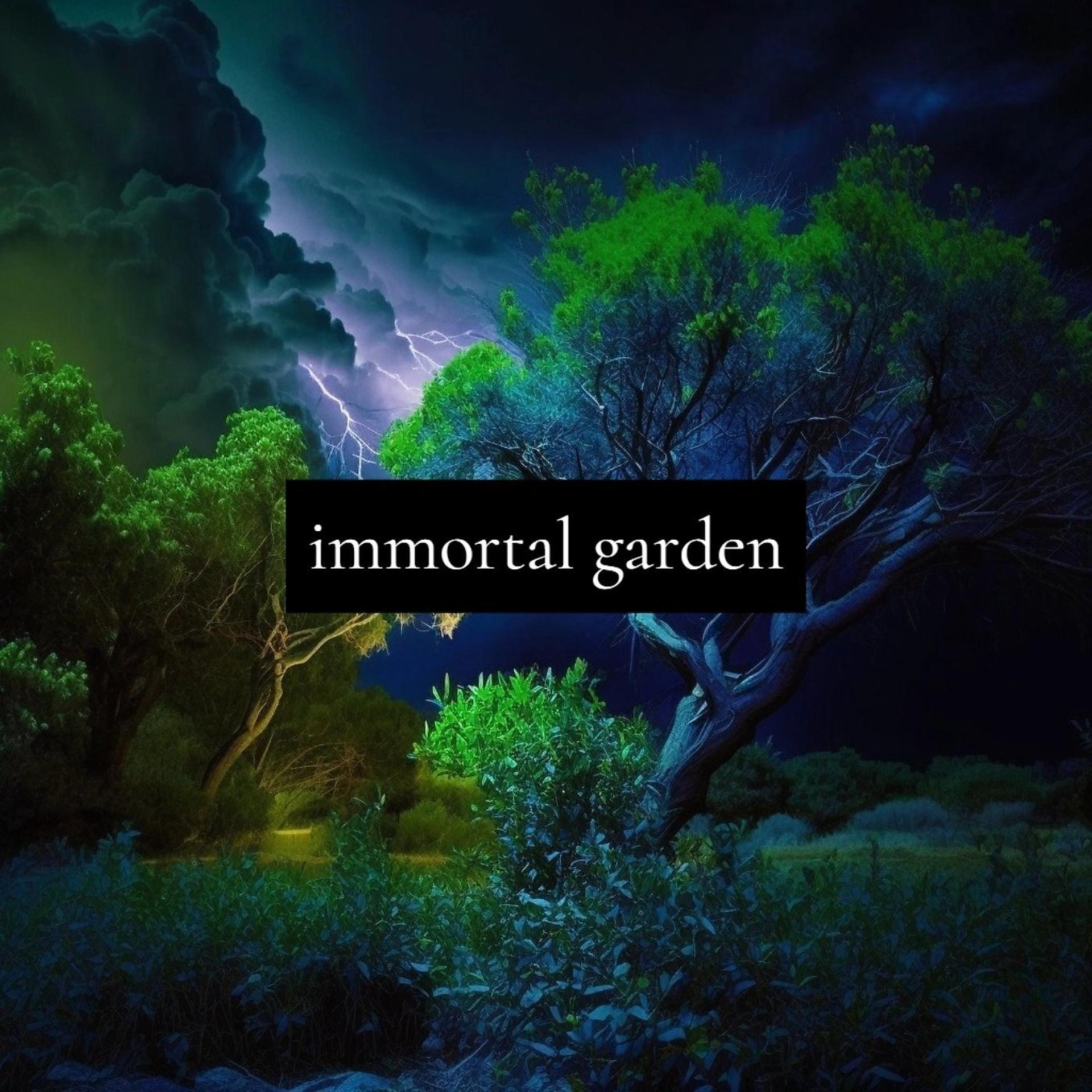 Постер альбома Immortal Garden