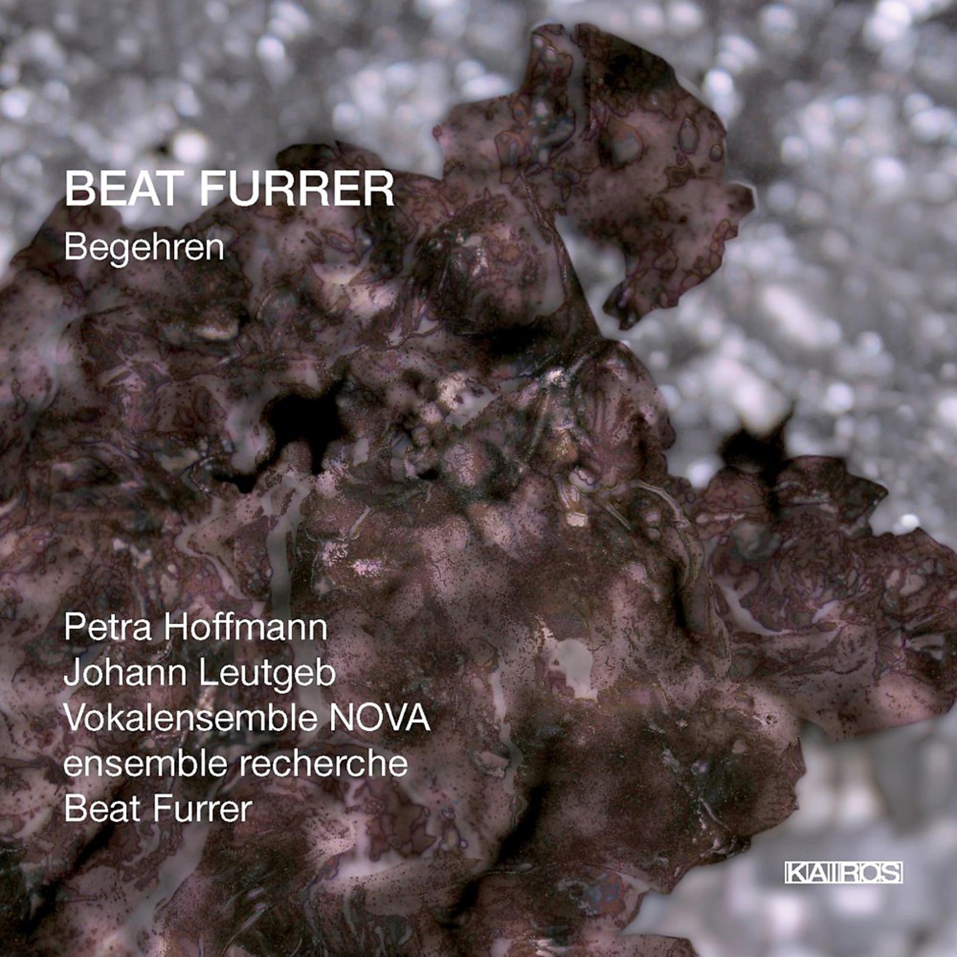 Постер альбома Beat Furrer: Begehren