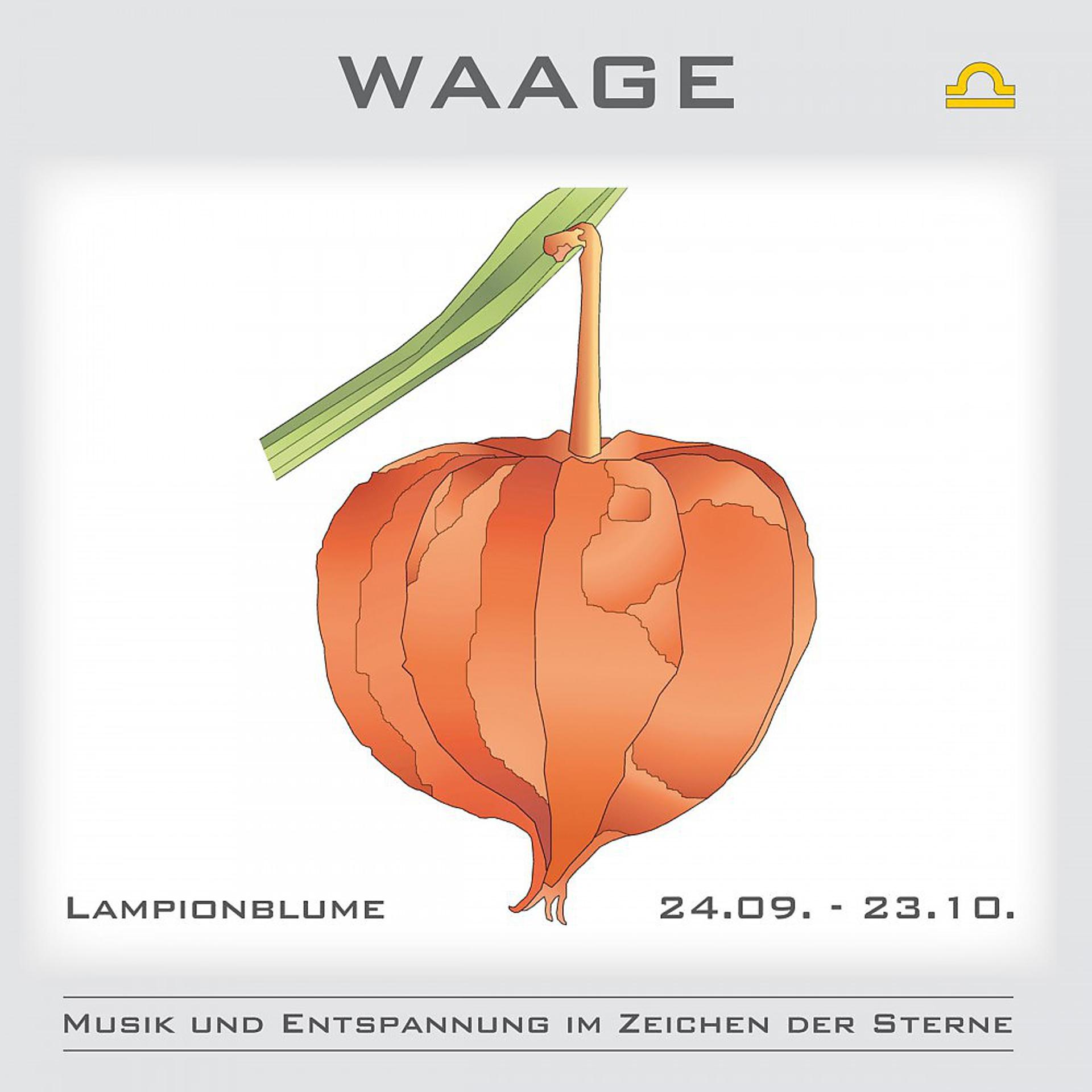 Постер альбома Waage - Musik und Entspannung im Zeichen der Sterne
