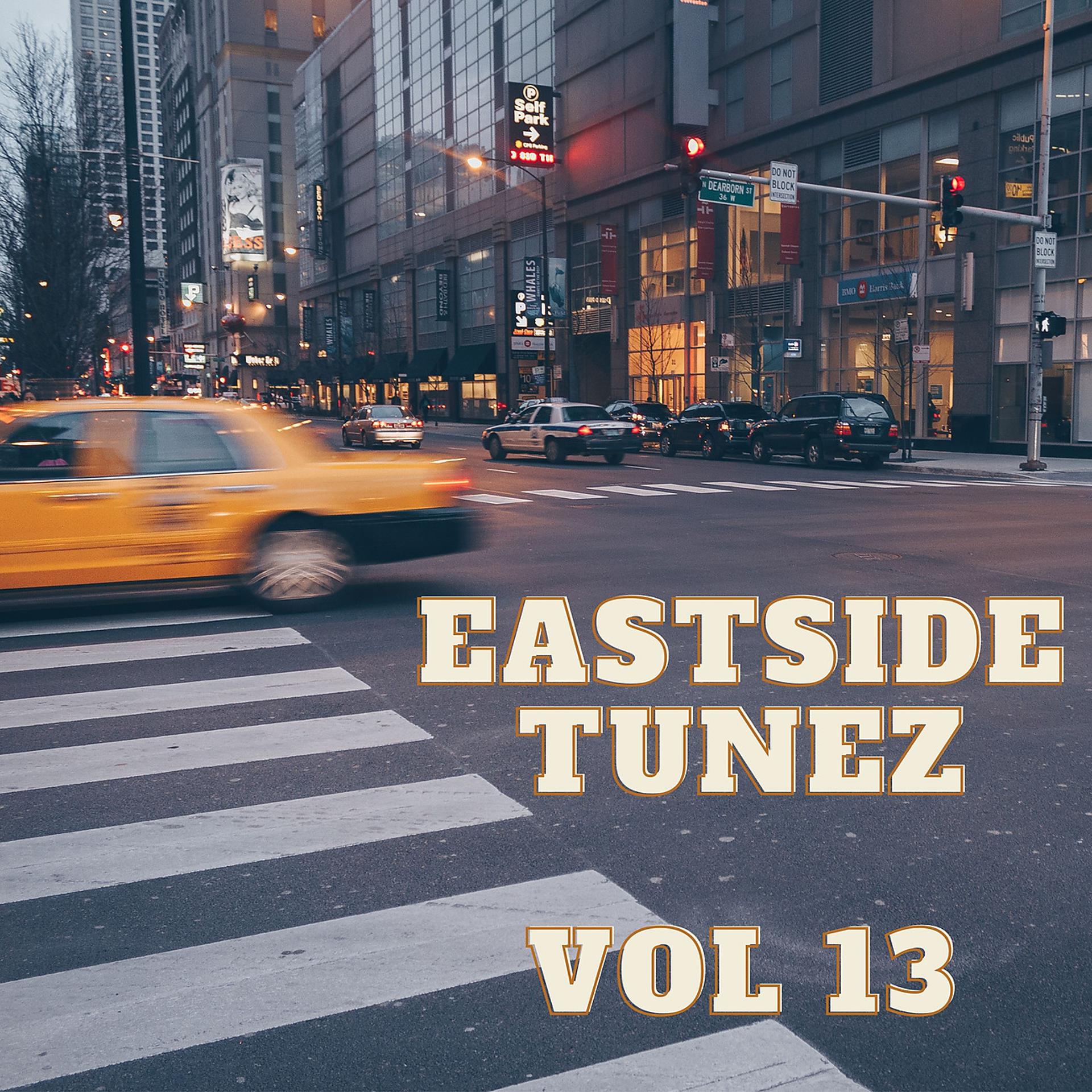 Постер альбома Eastside Tunez Vol 13