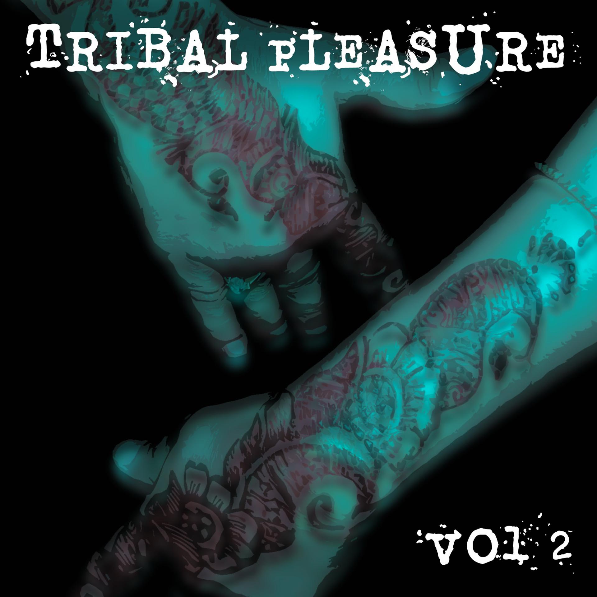 Постер альбома Tribal Pleasure Vol. 2
