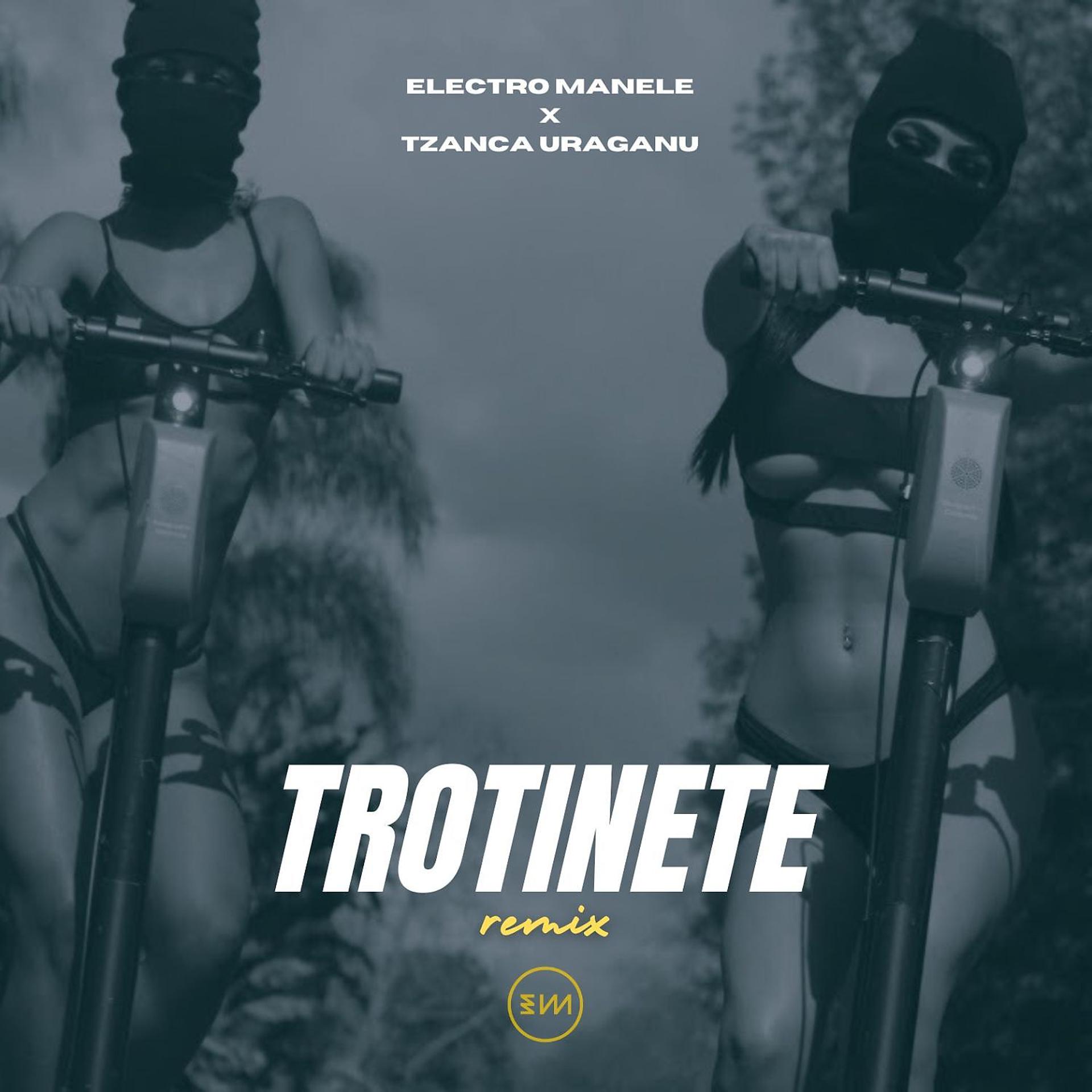 Постер альбома Trotinete