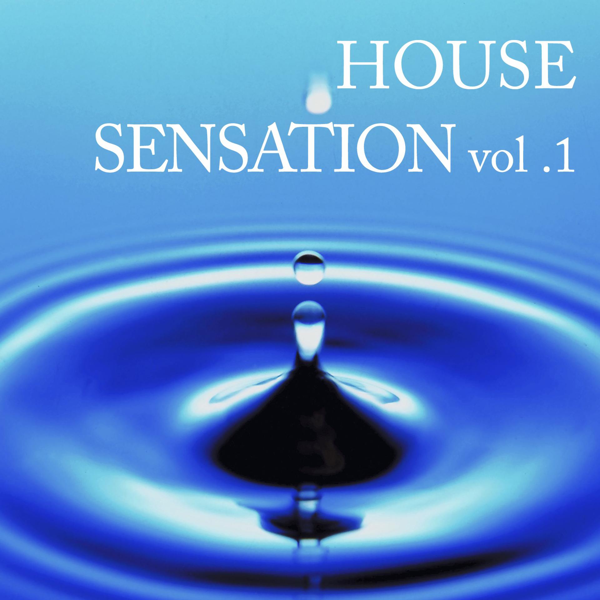 Постер альбома House Sensation 1