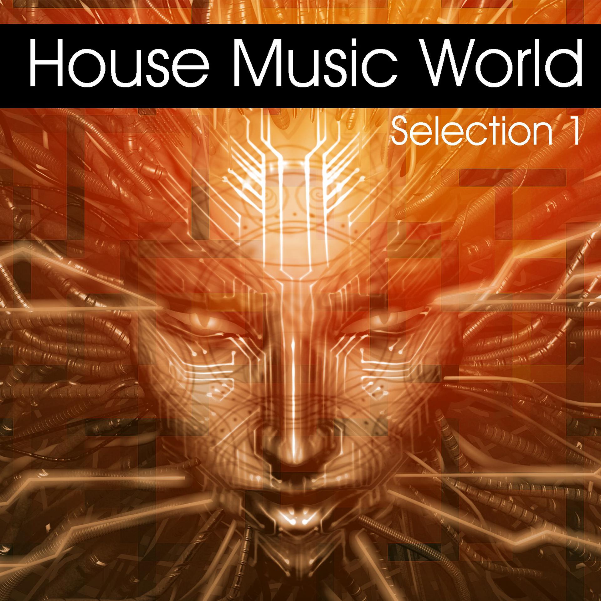 Постер альбома House Music World - Selection 1