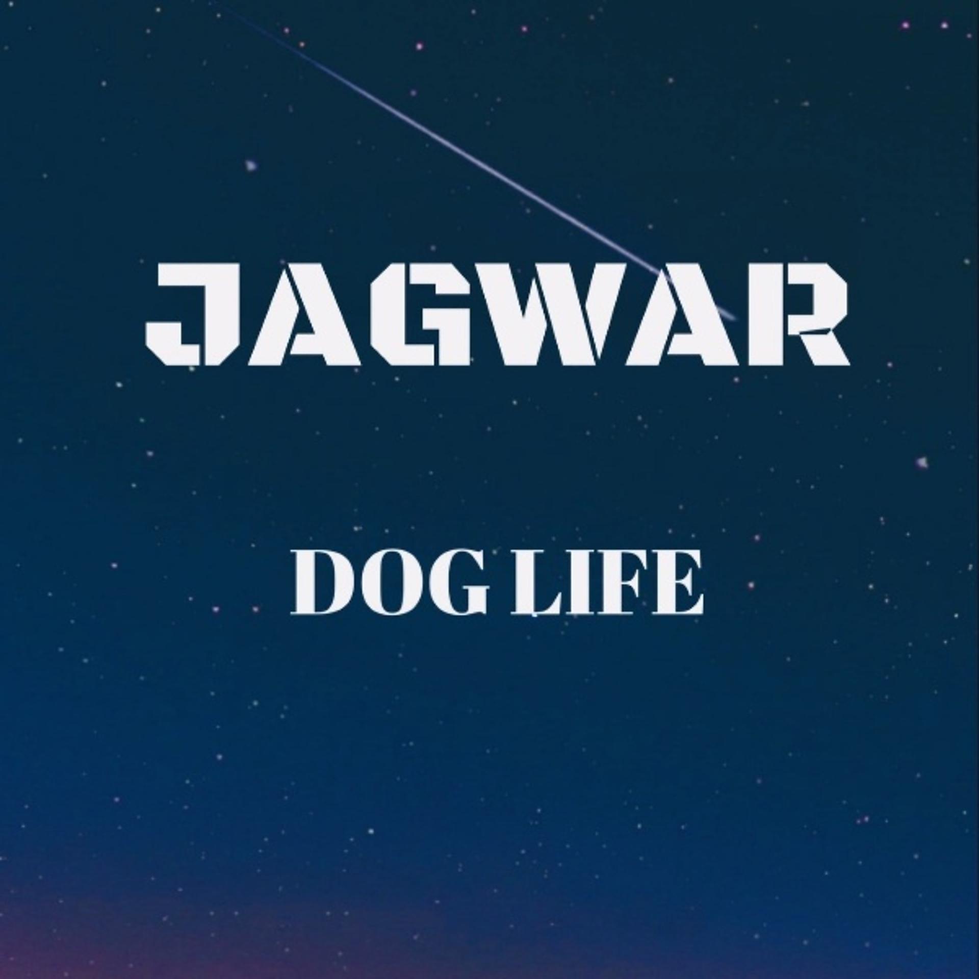 Постер альбома DOG LIFE
