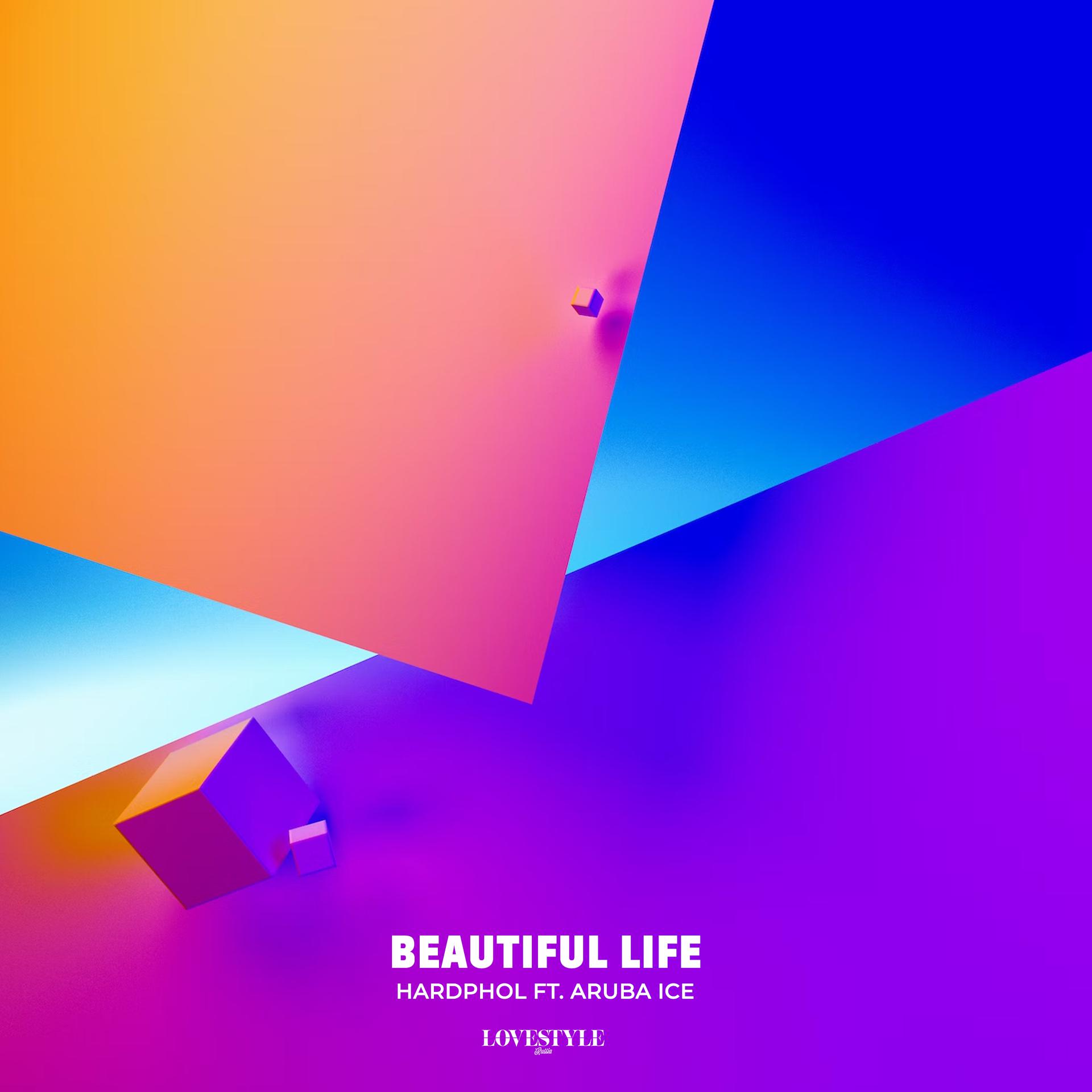 Постер альбома Beautiful Life