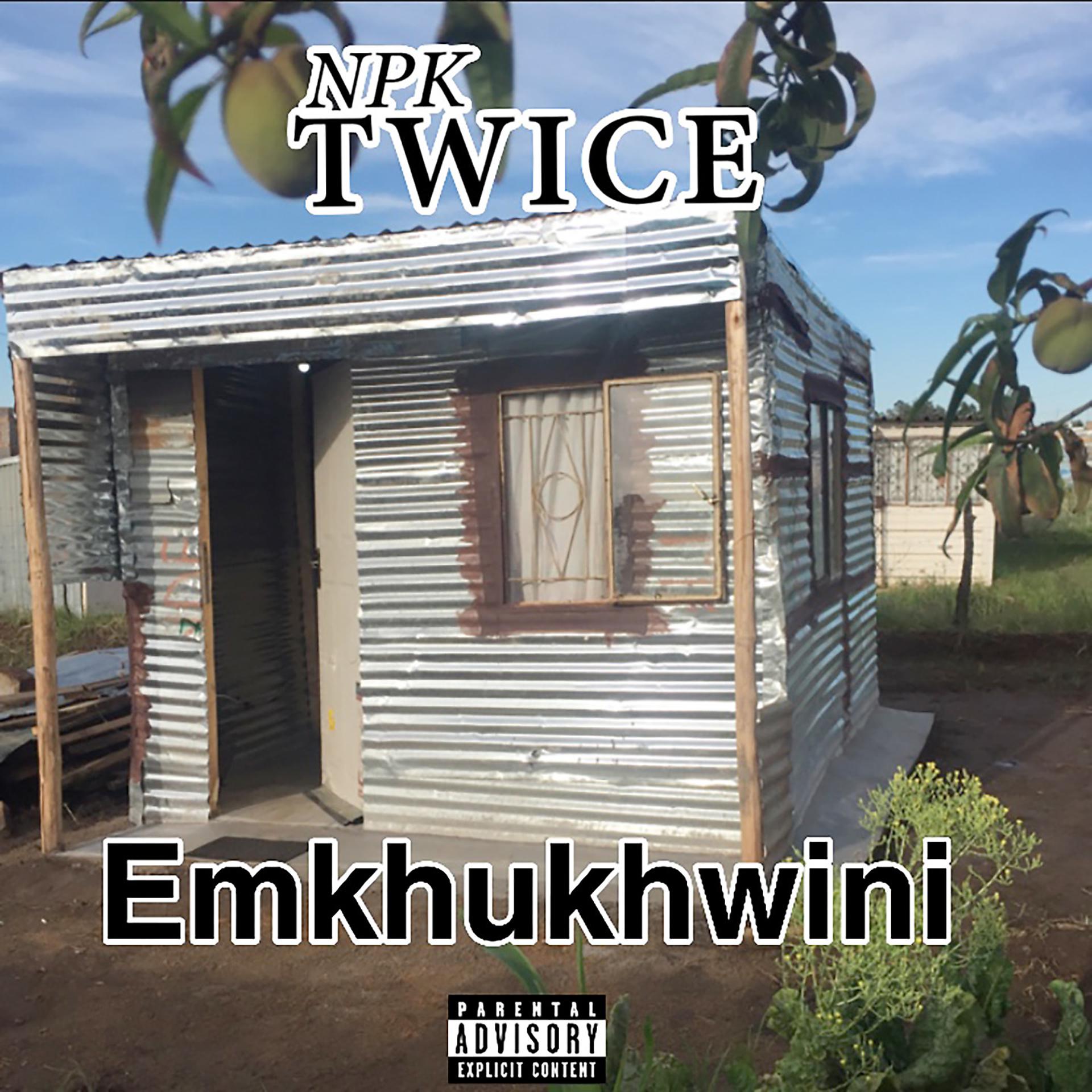Постер альбома Emkhukhwini