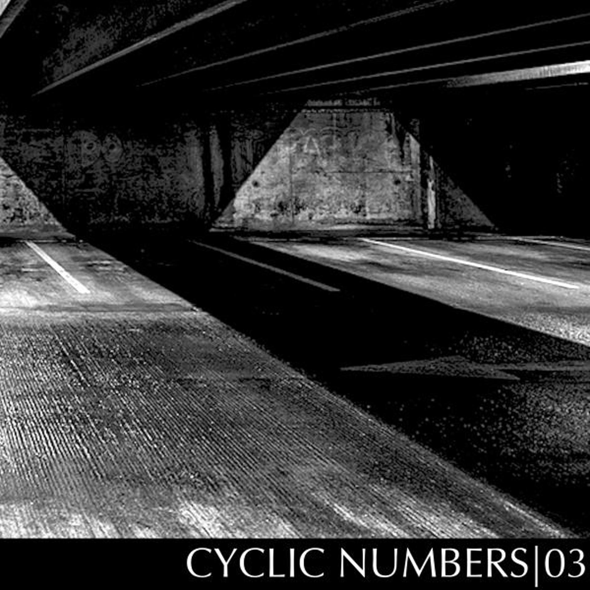 Постер альбома Cyclic Numbers 03